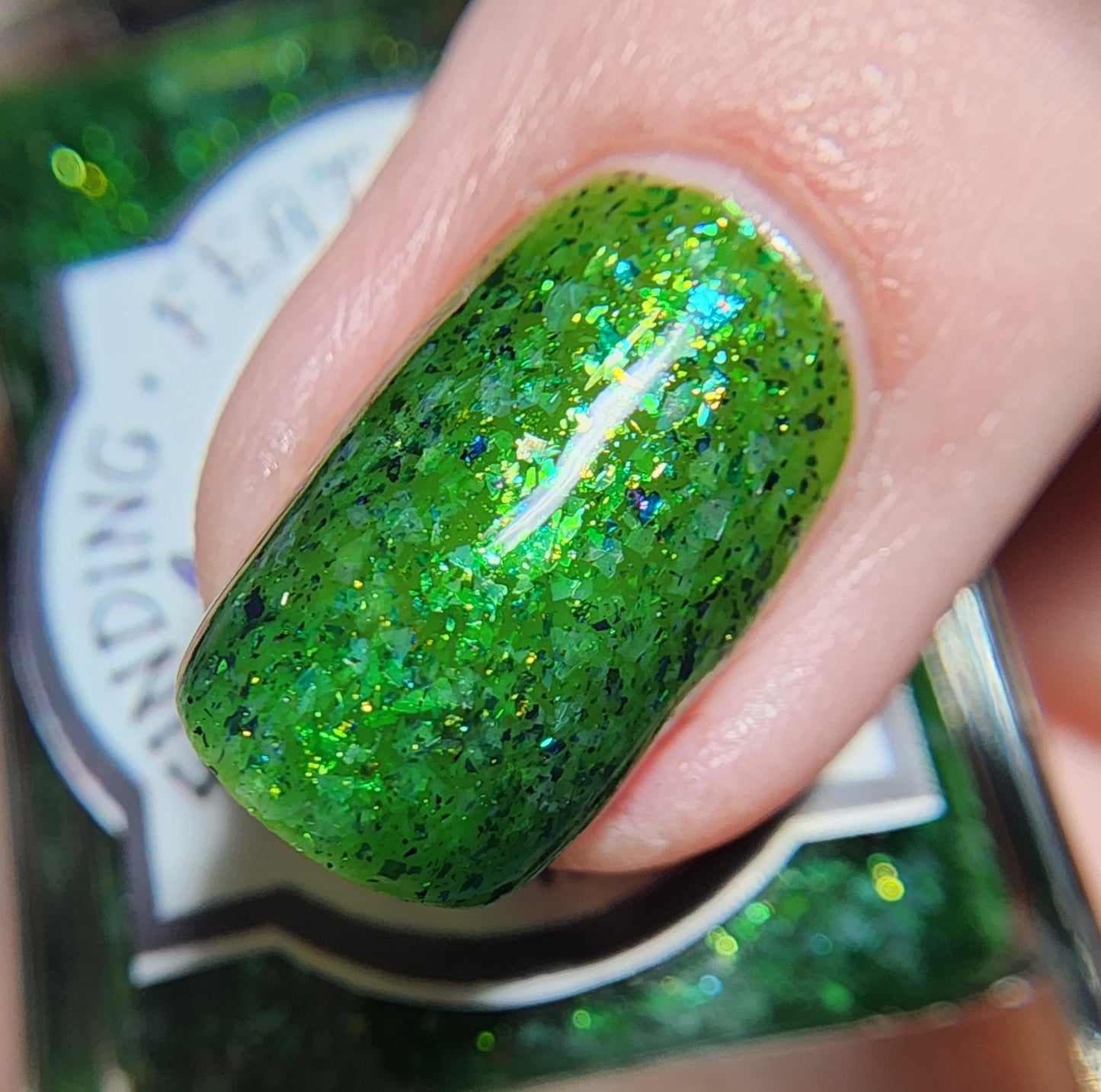 Fir-Evergreen