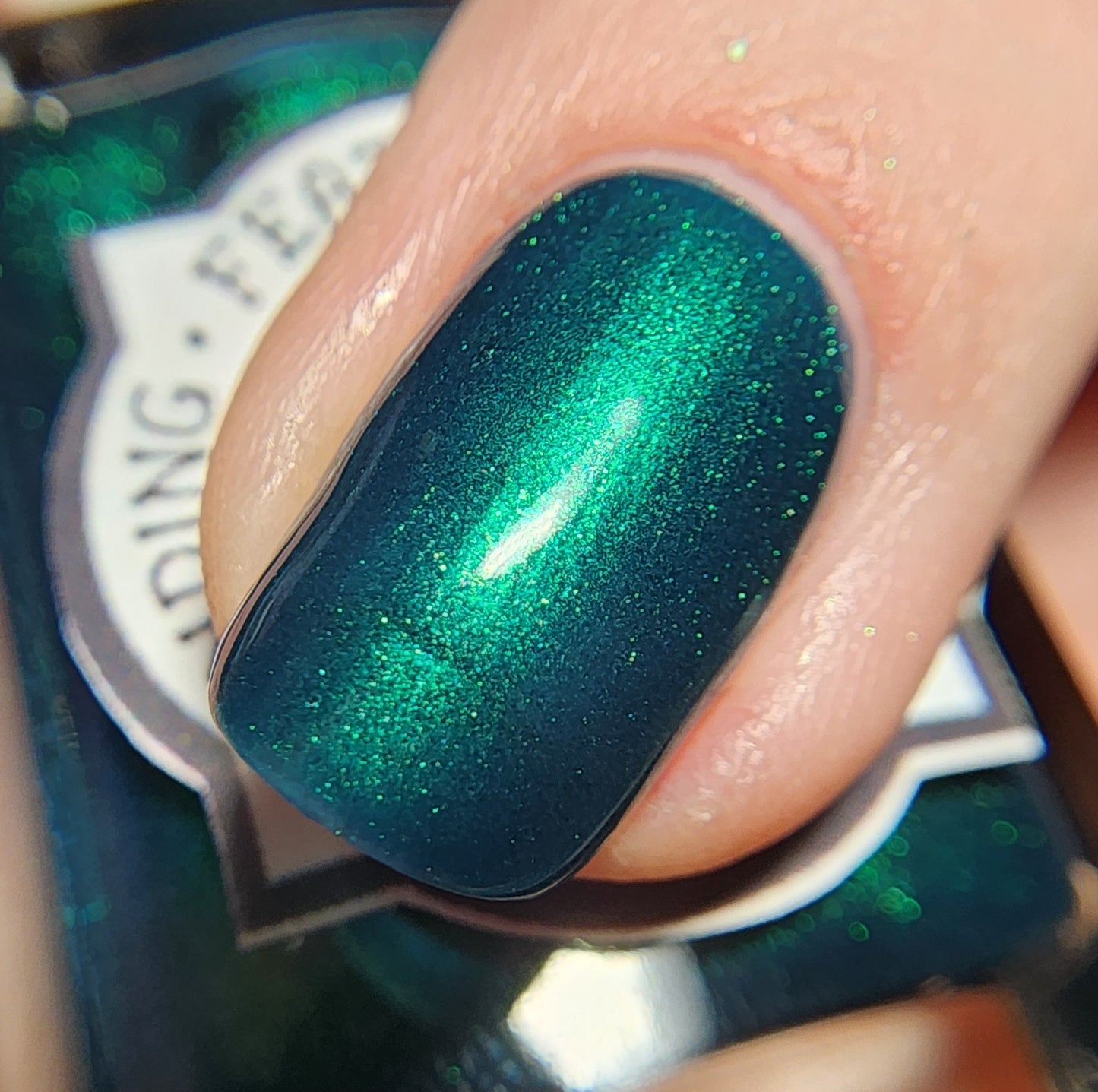 Borealis Bliss