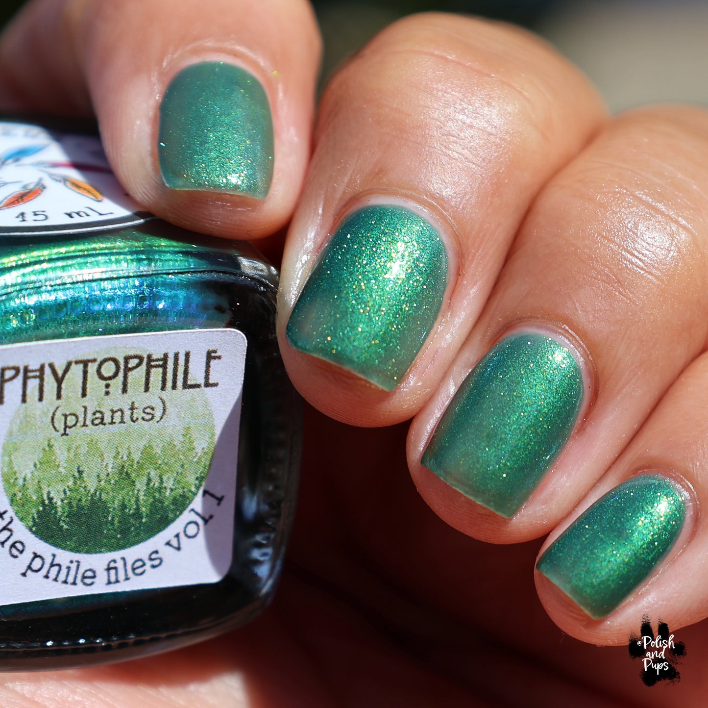 Phytophile