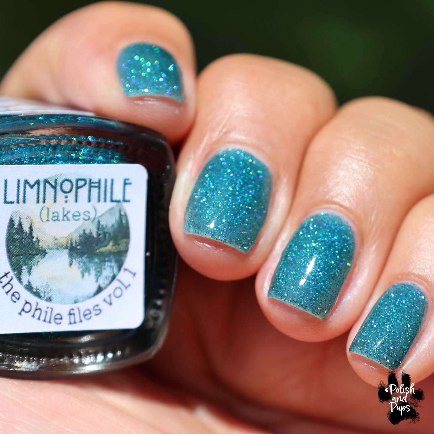 Limnophile