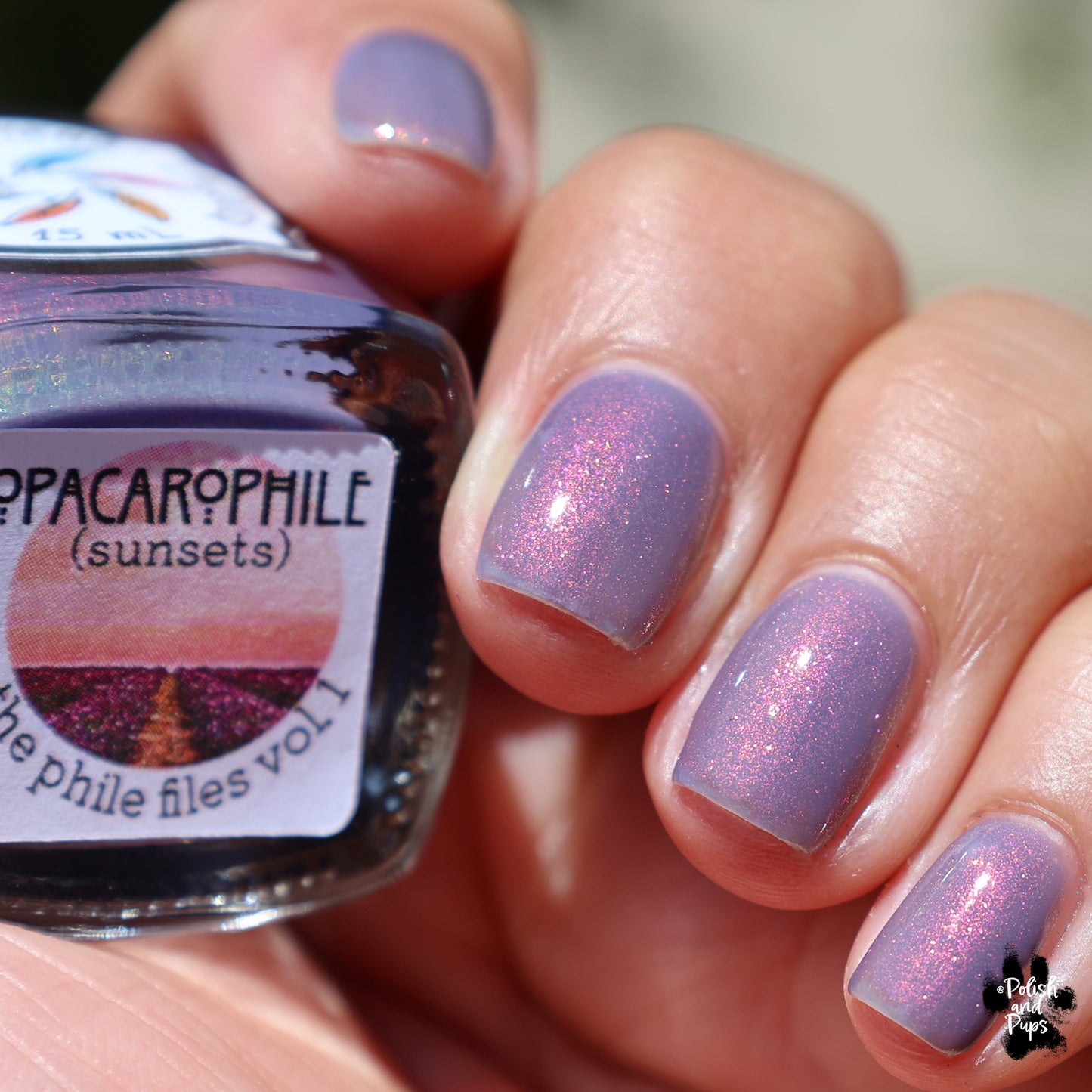 Opacarophile