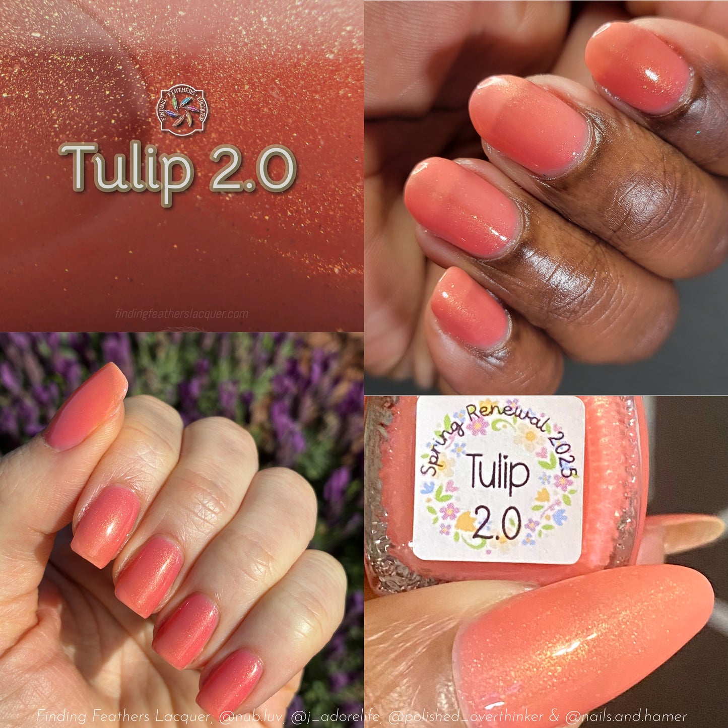 Full Spring Renewal Collection