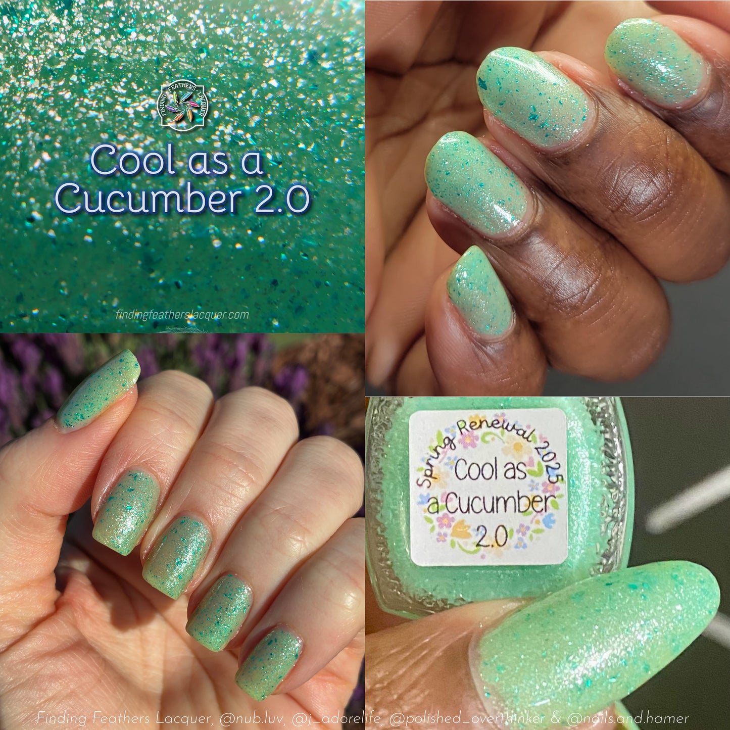 Full Spring Renewal Collection