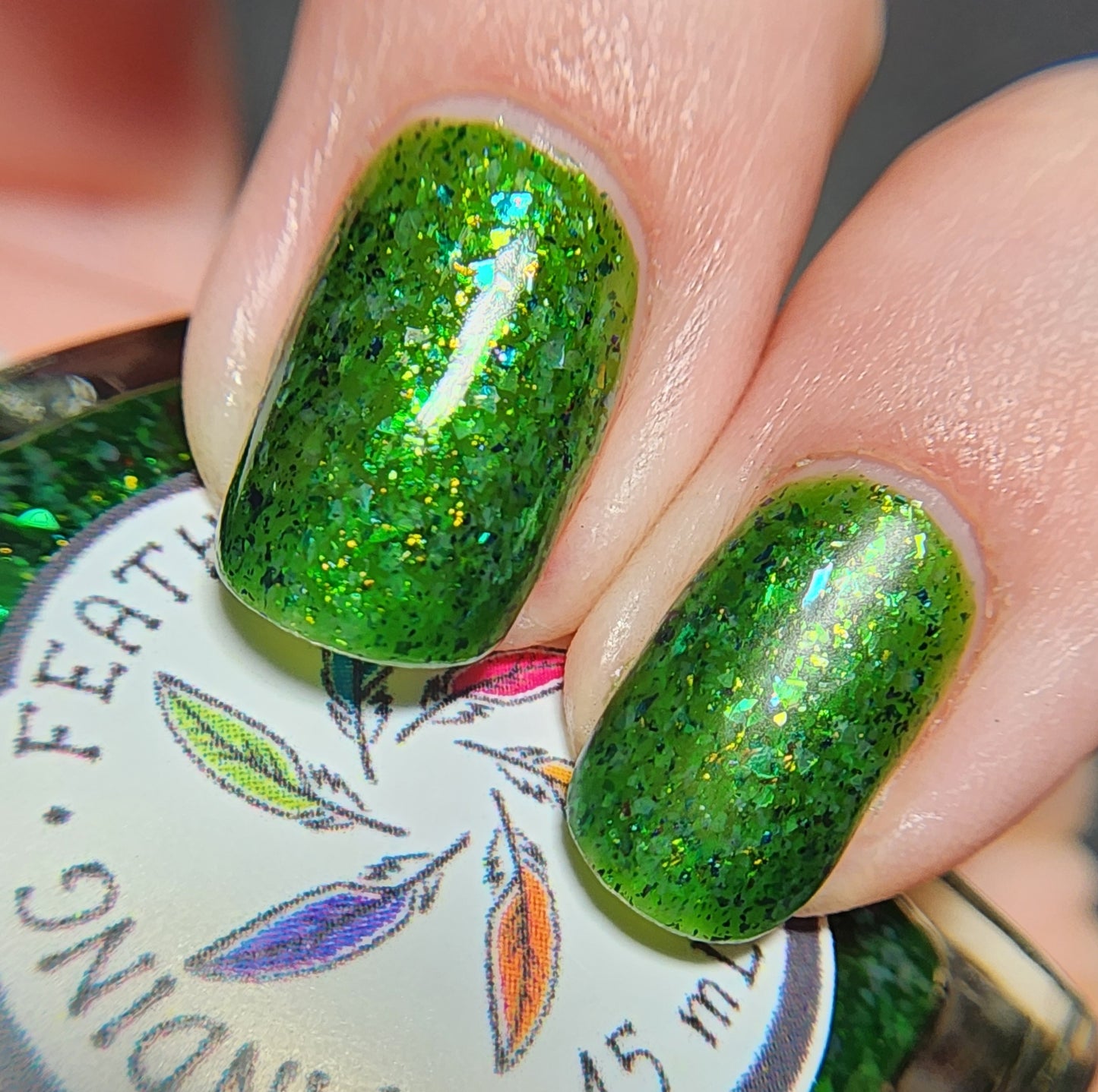 Fir-Evergreen