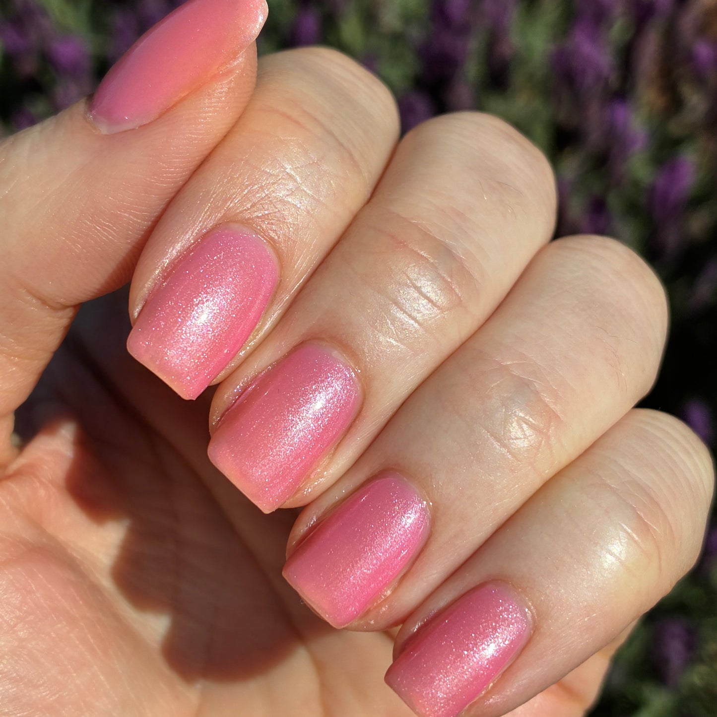 Peony 2.0