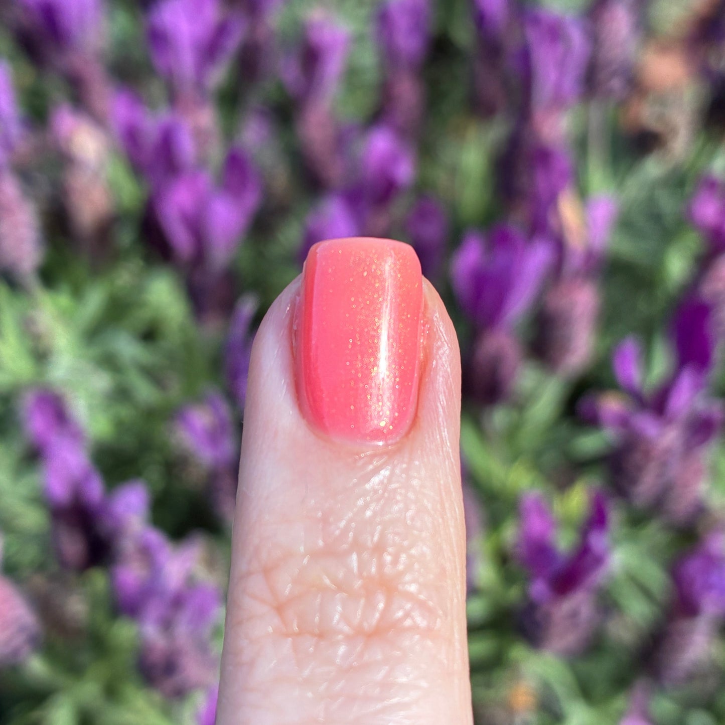 Tulip 2.0