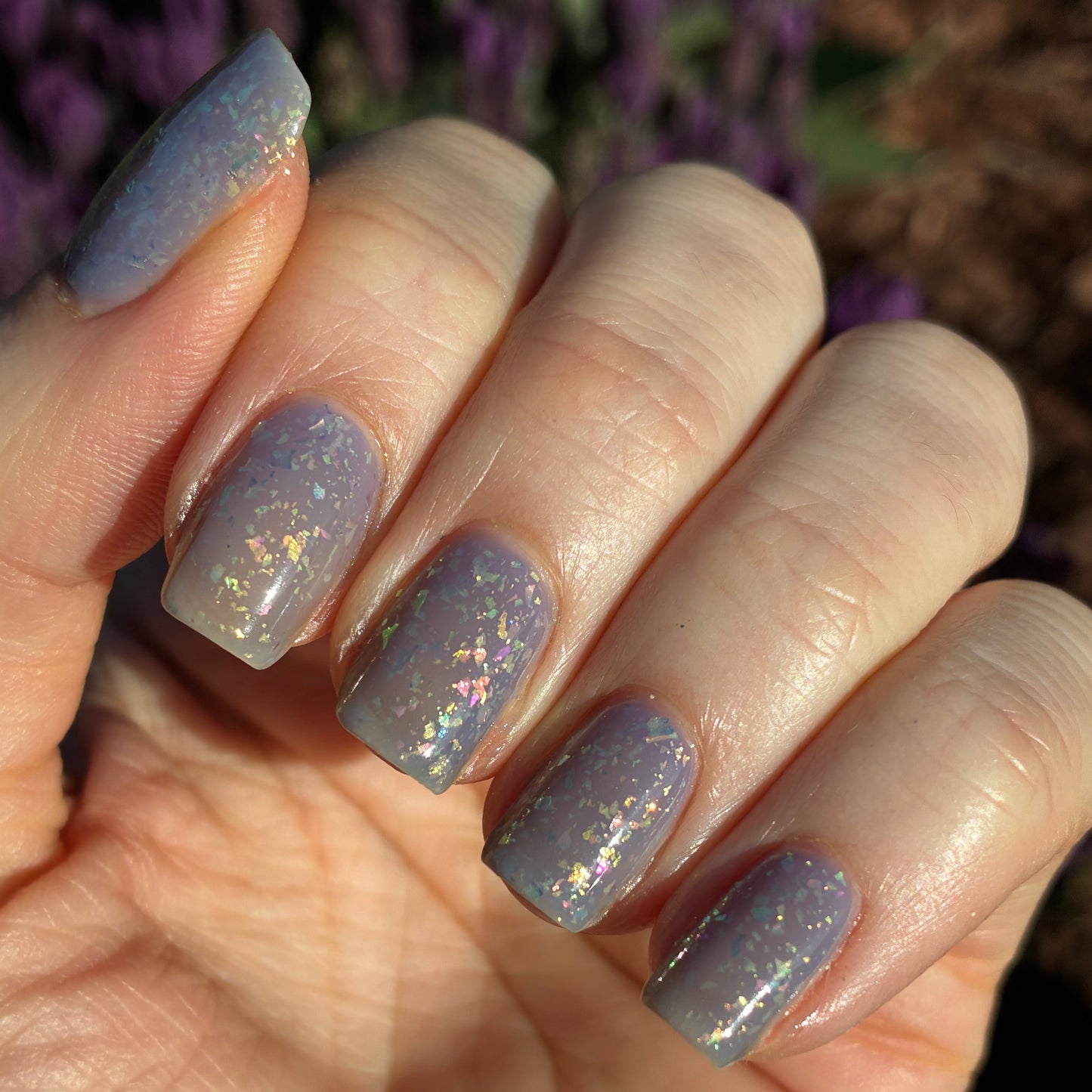 Lavender Daydreams 2.0