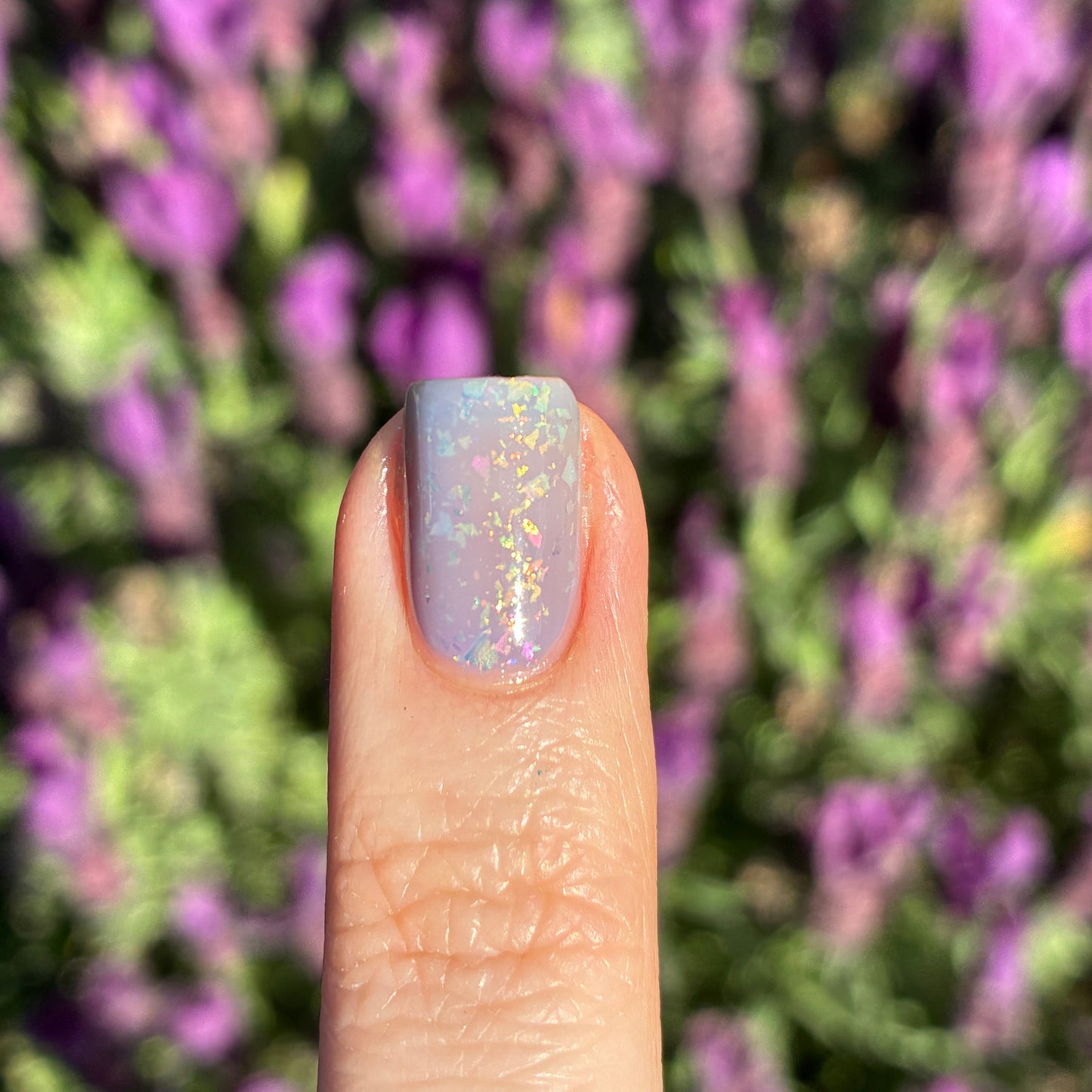 Lavender Daydreams 2.0