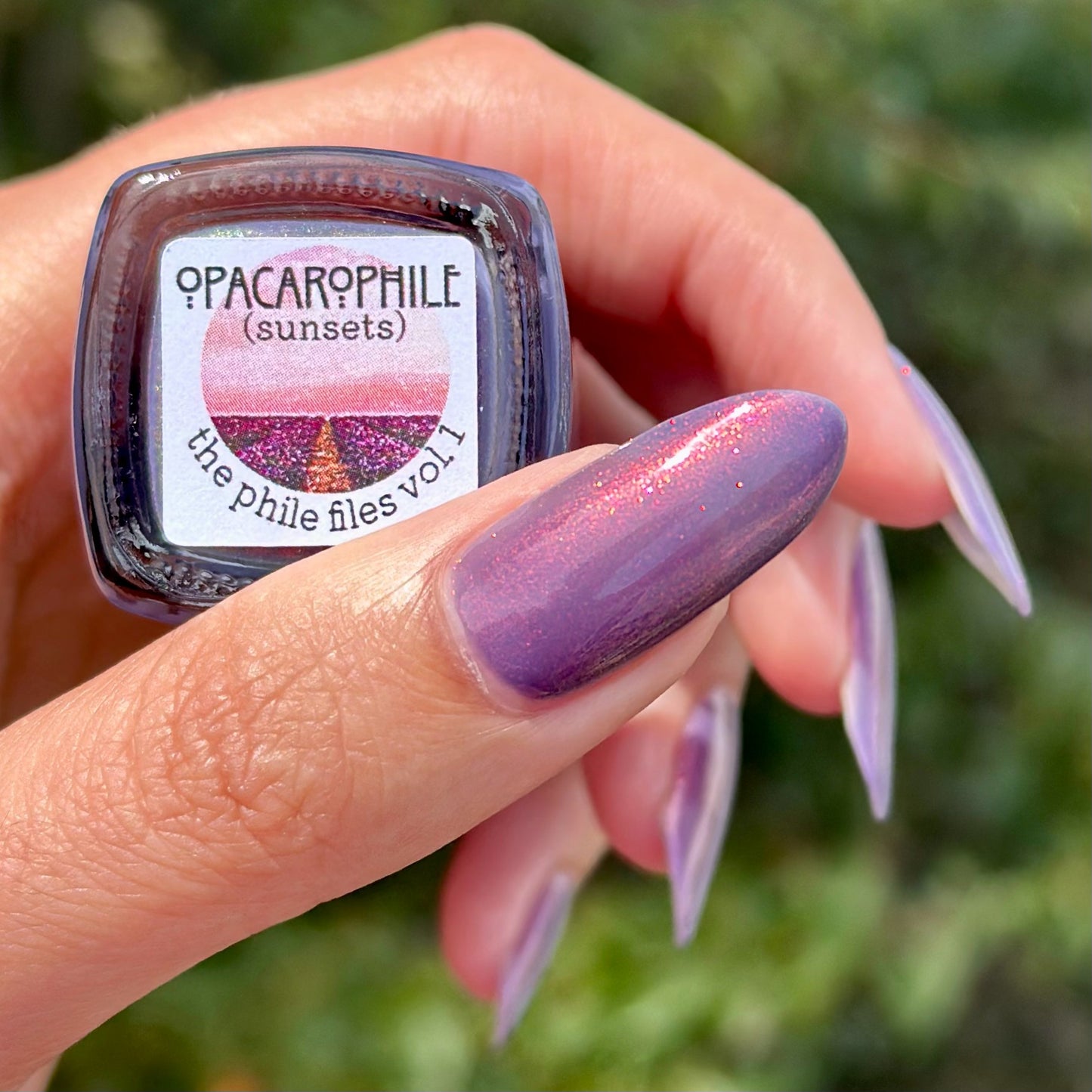 Opacarophile