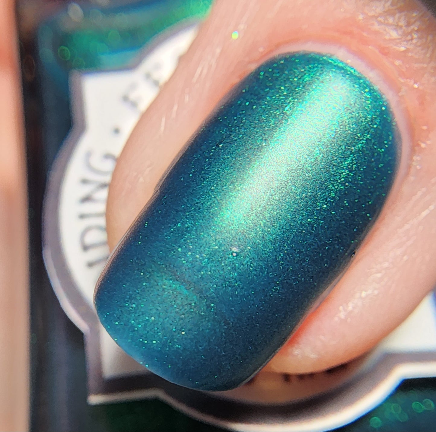 Borealis Bliss