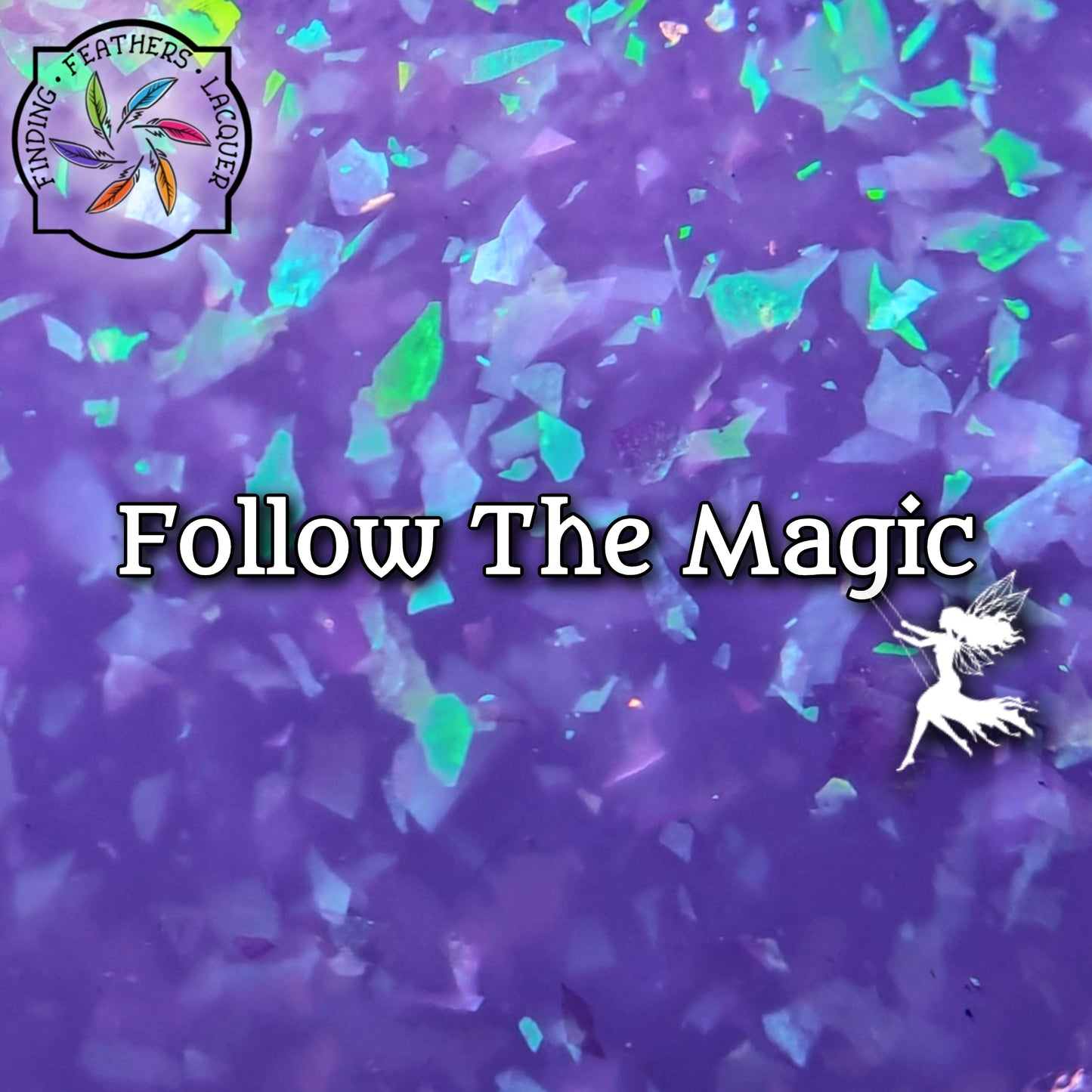 Follow the Magic