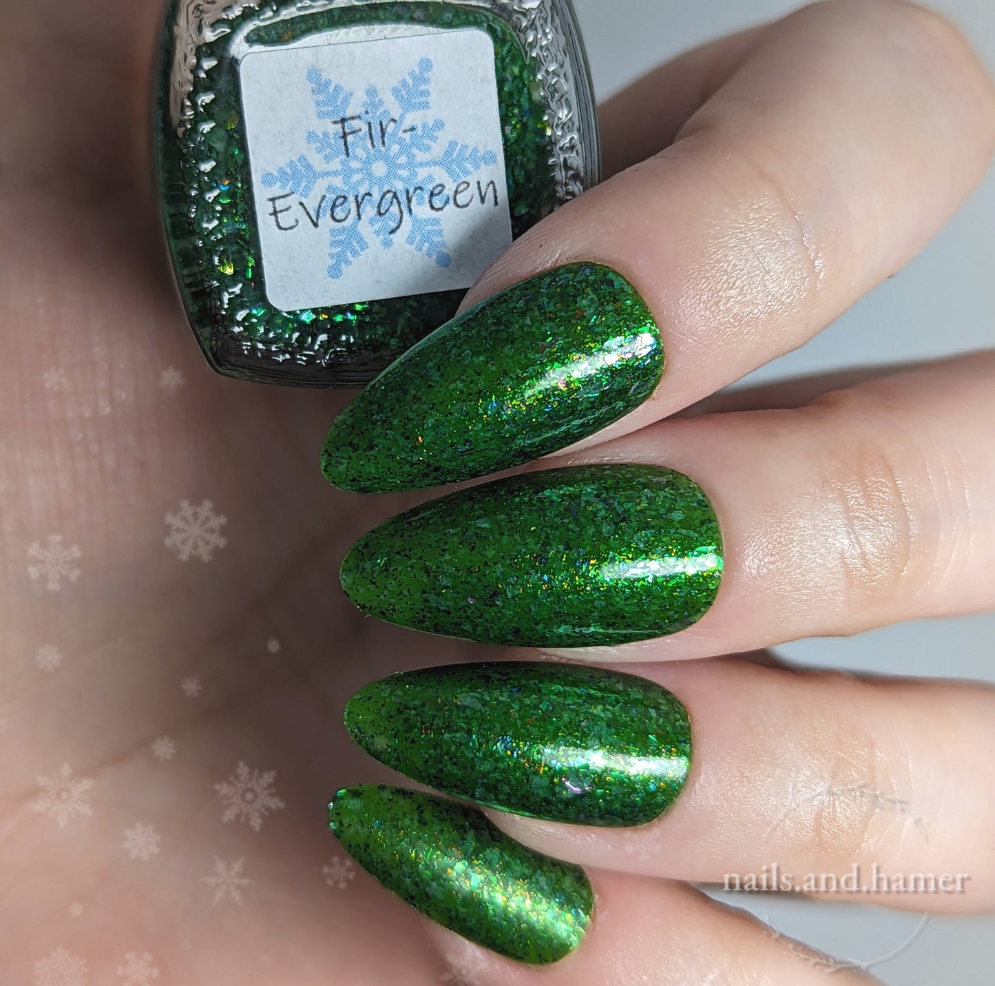 Fir-Evergreen