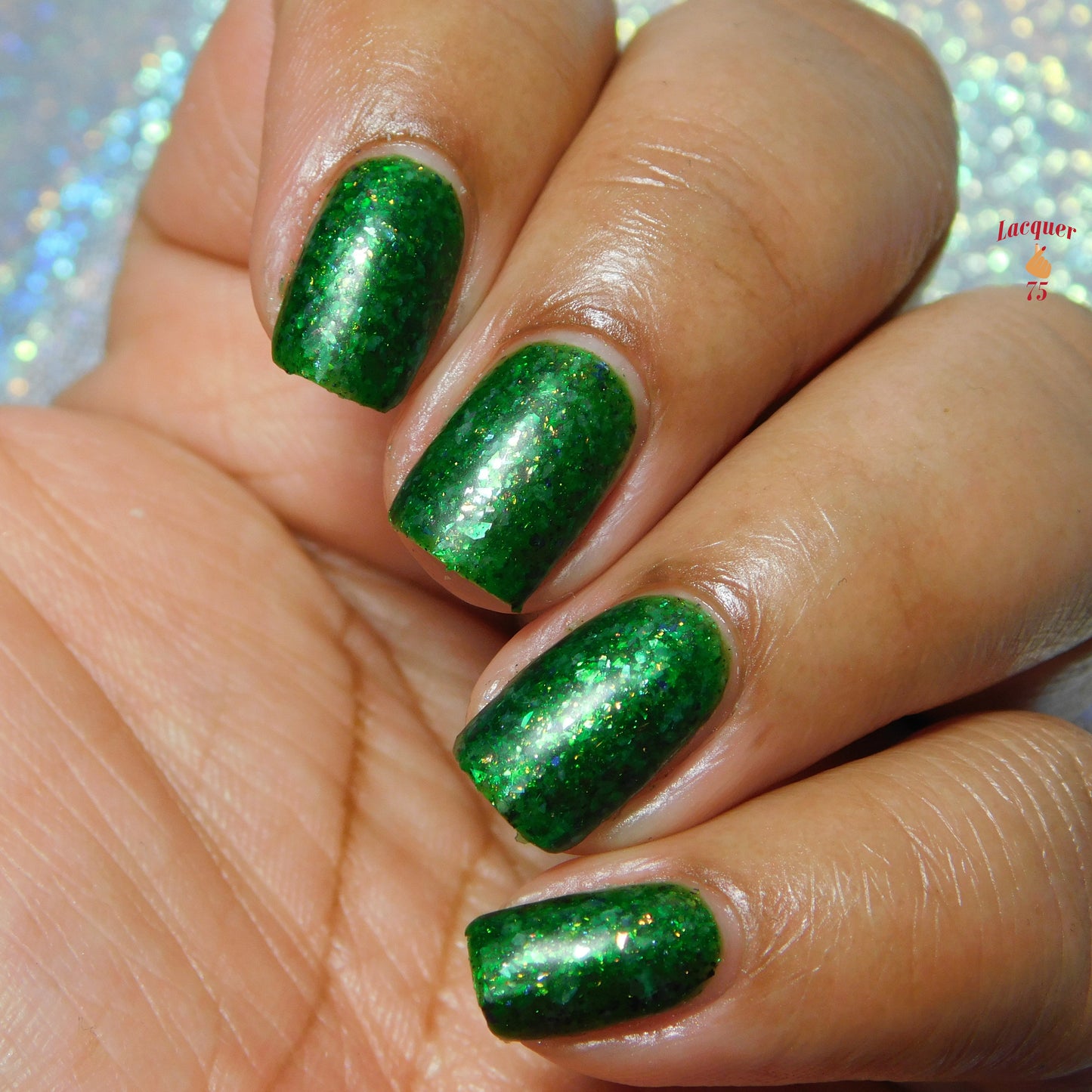 Fir-Evergreen