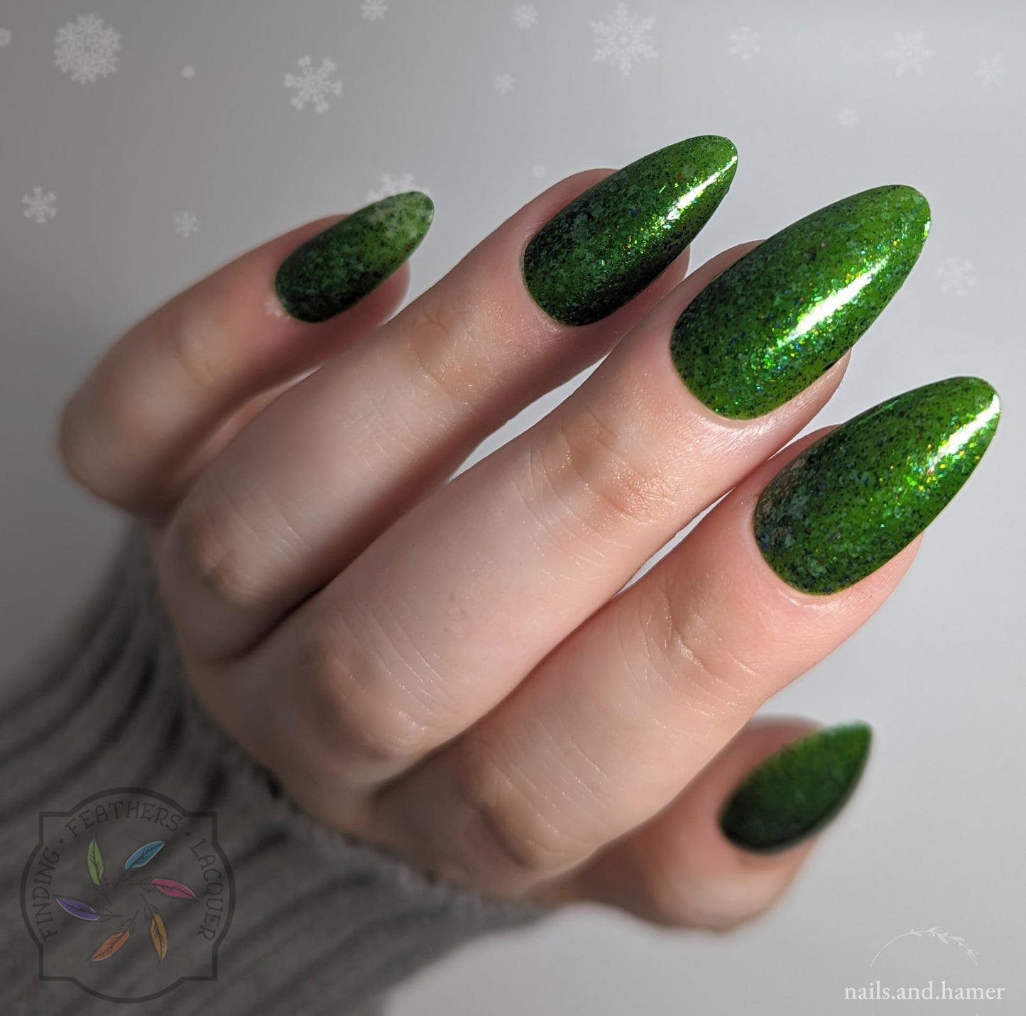 Fir-Evergreen