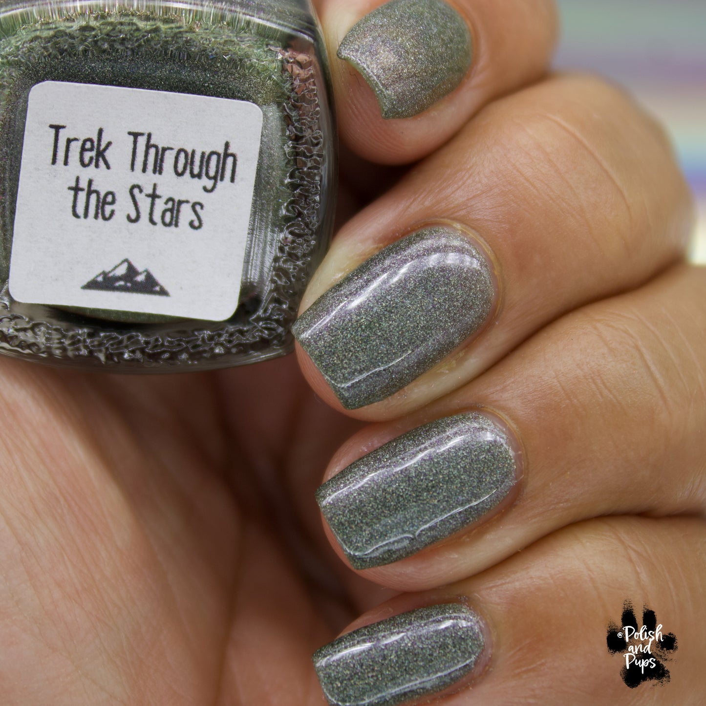 Trek Through the Stars