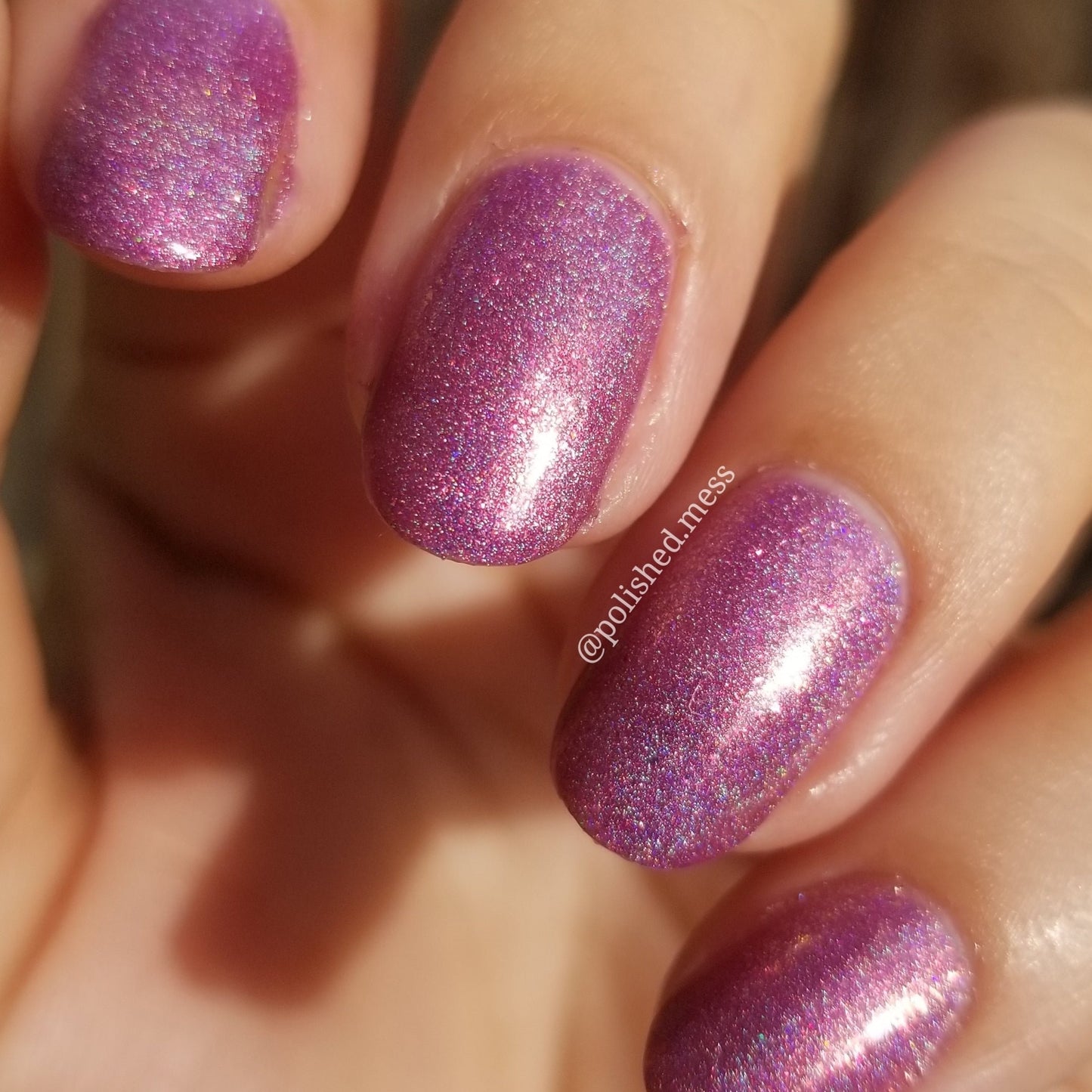Sugar Plum Fantasy