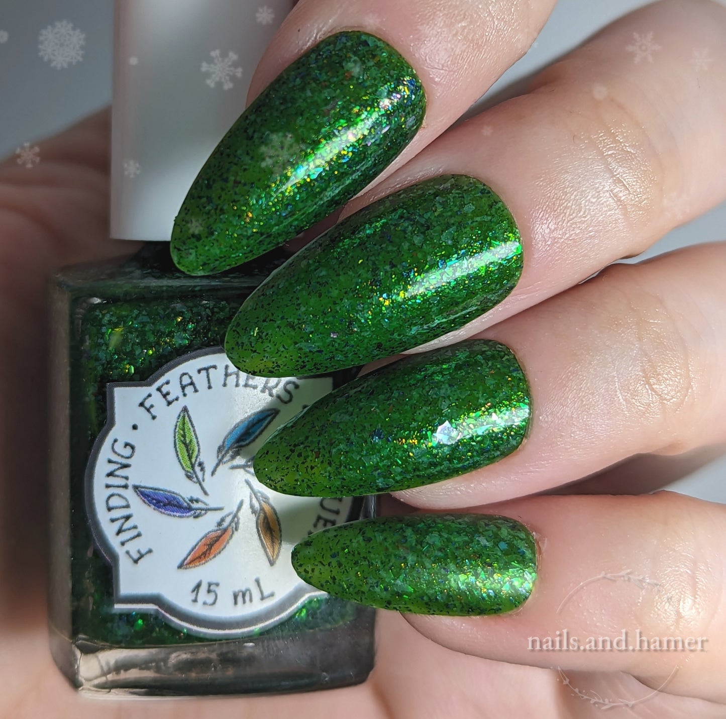 Fir-Evergreen