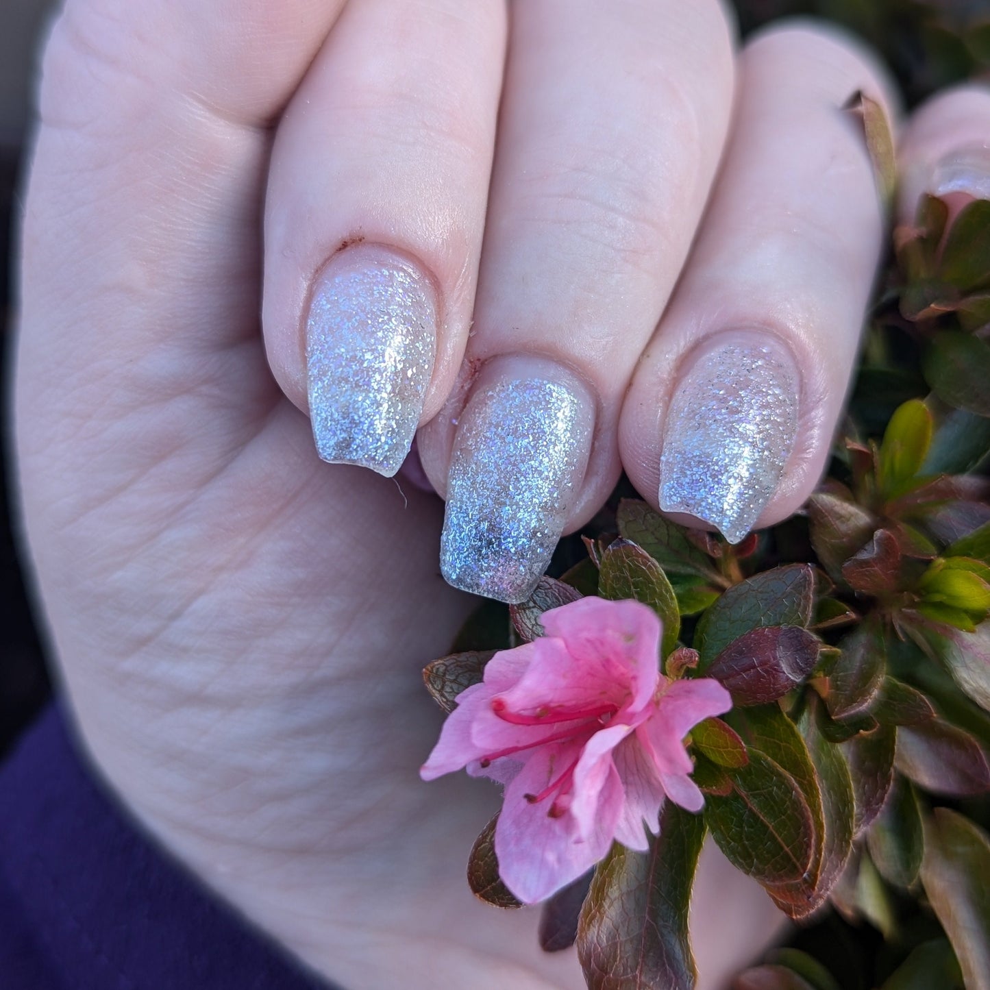 Winter Waltz