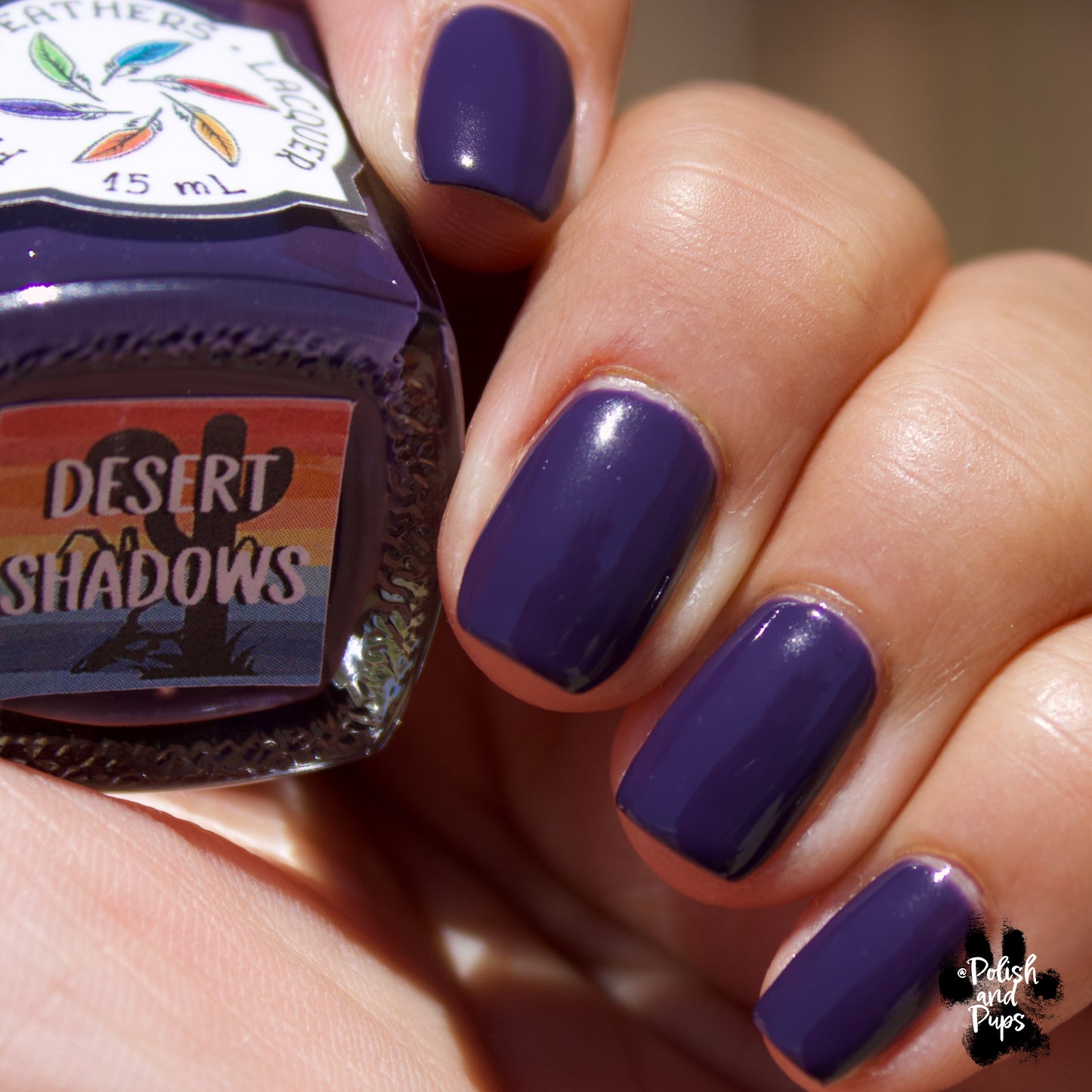 Desert Shadows