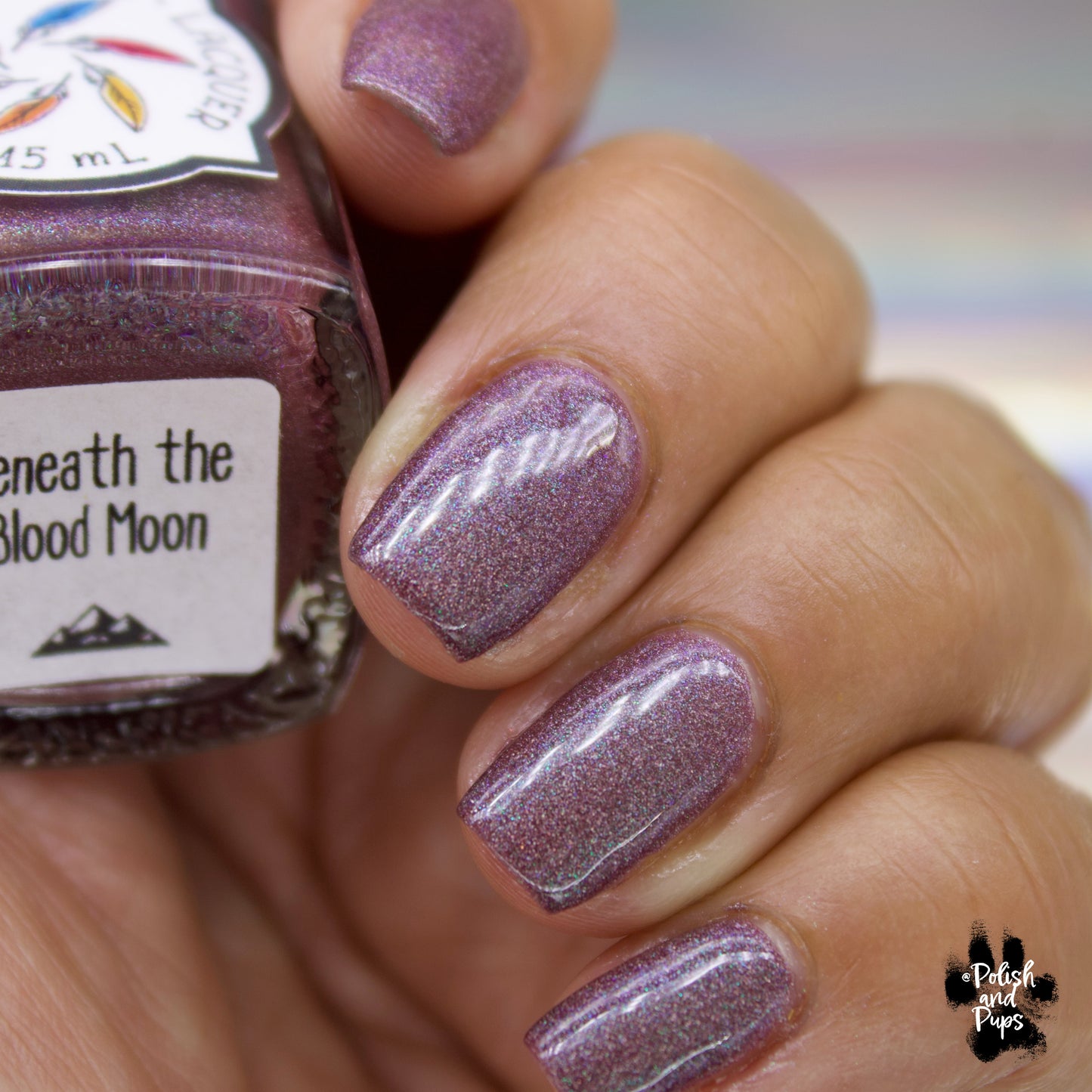 Beneath the Blood Moon