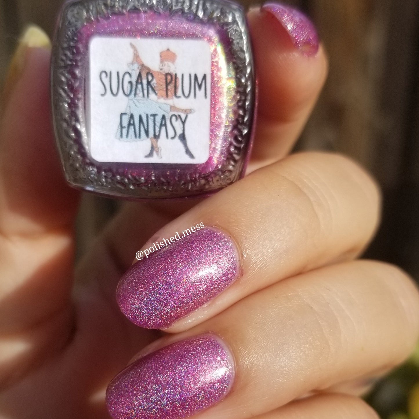 Sugar Plum Fantasy