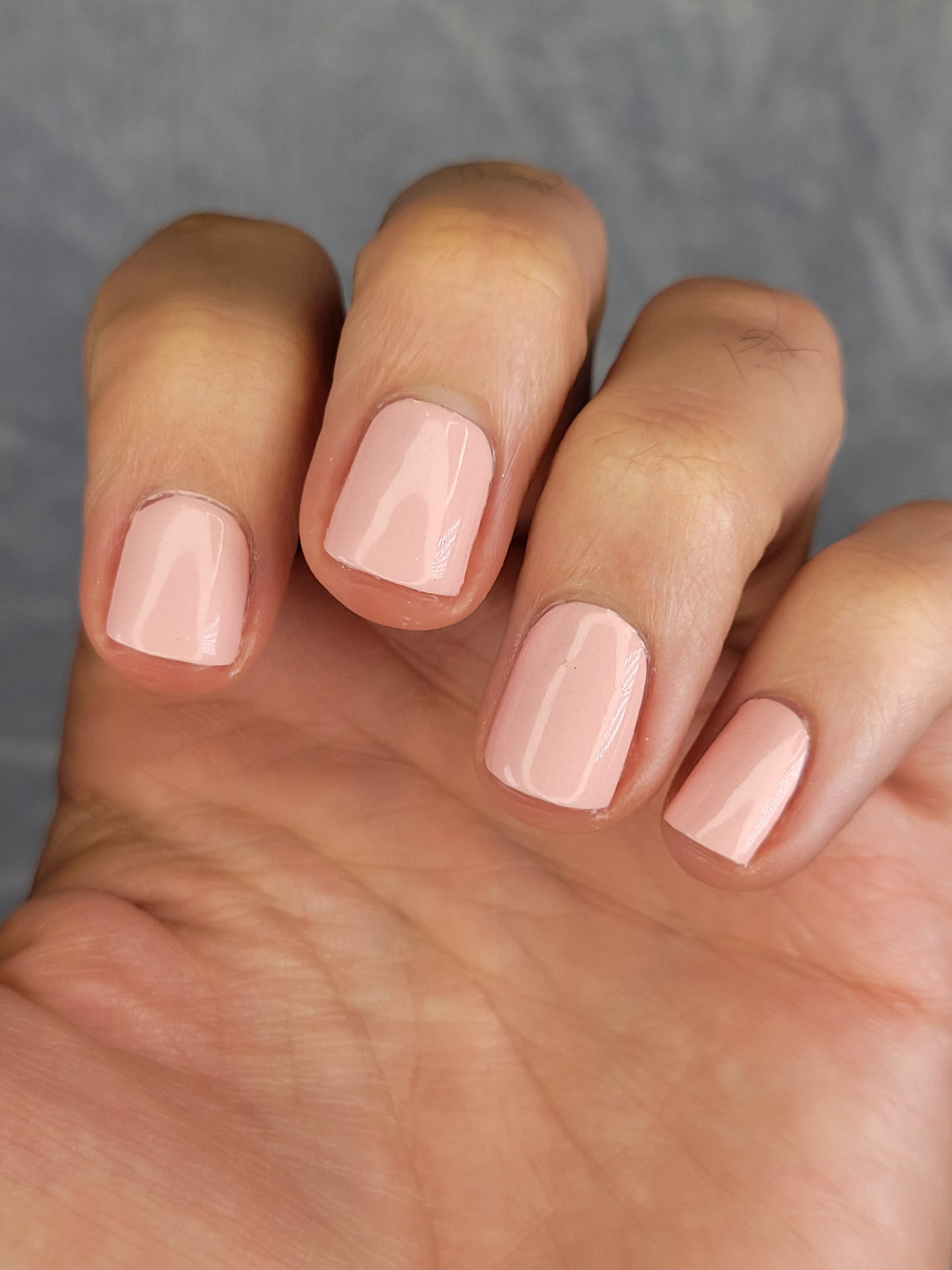 Azalea Aspirations