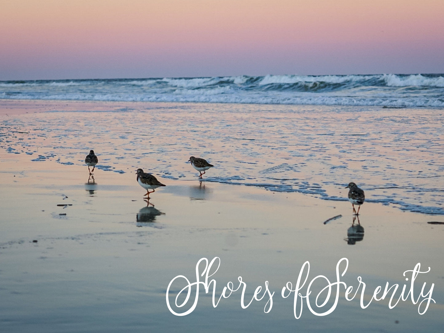 Shores of Serenity