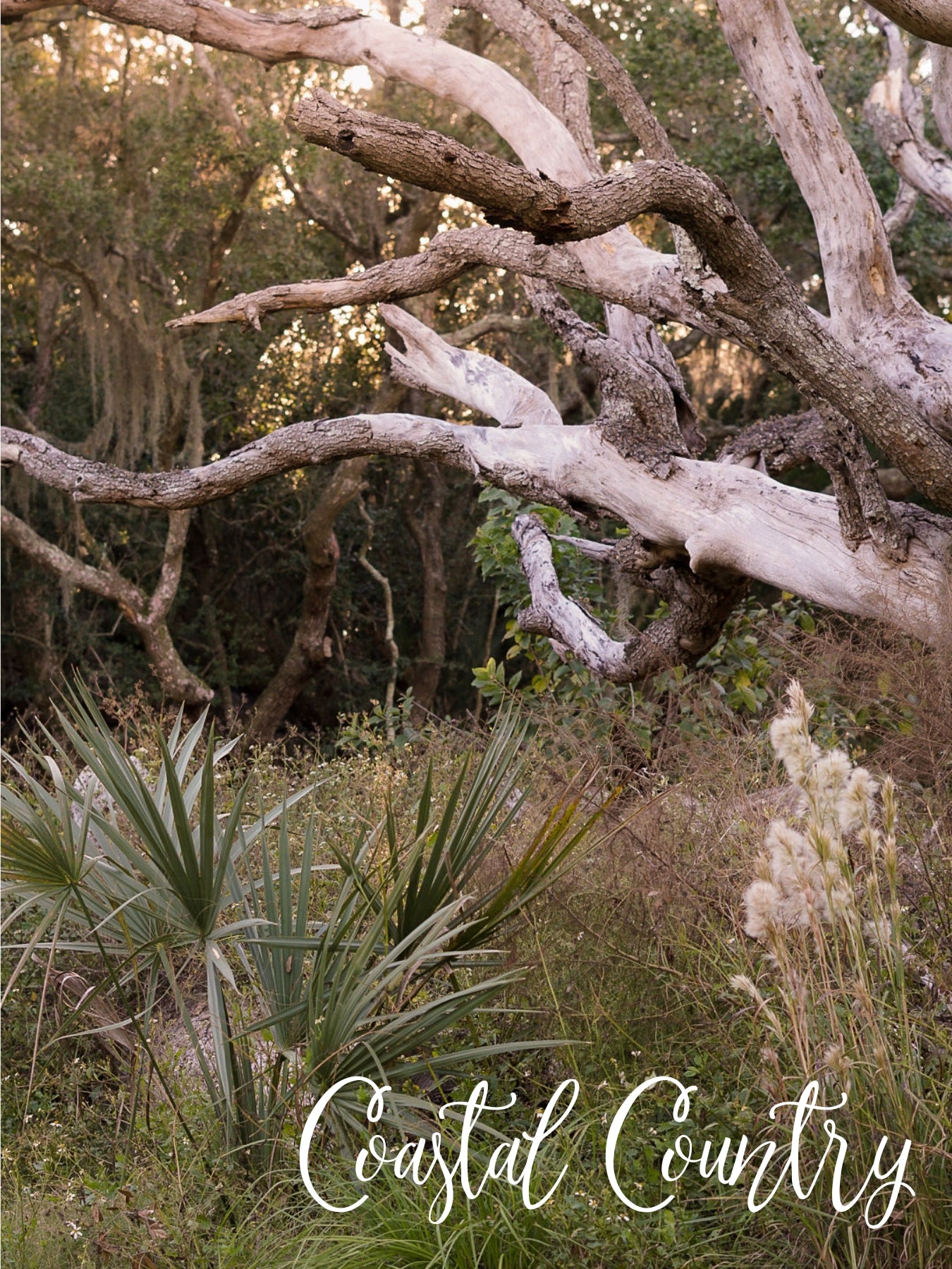 Coastal Country
