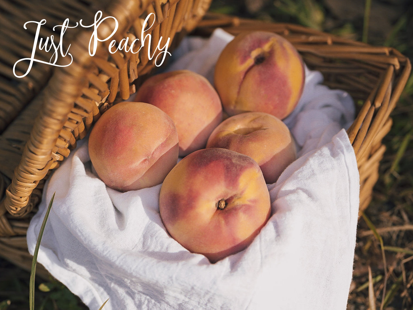 Just Peachy