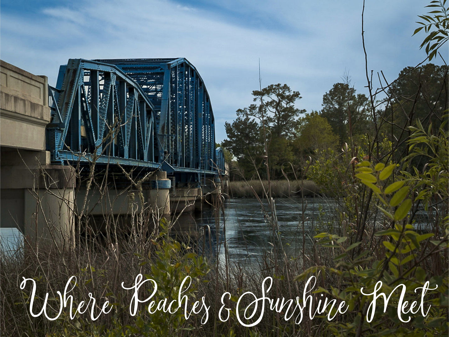 Where Peaches & Sunshine Meet