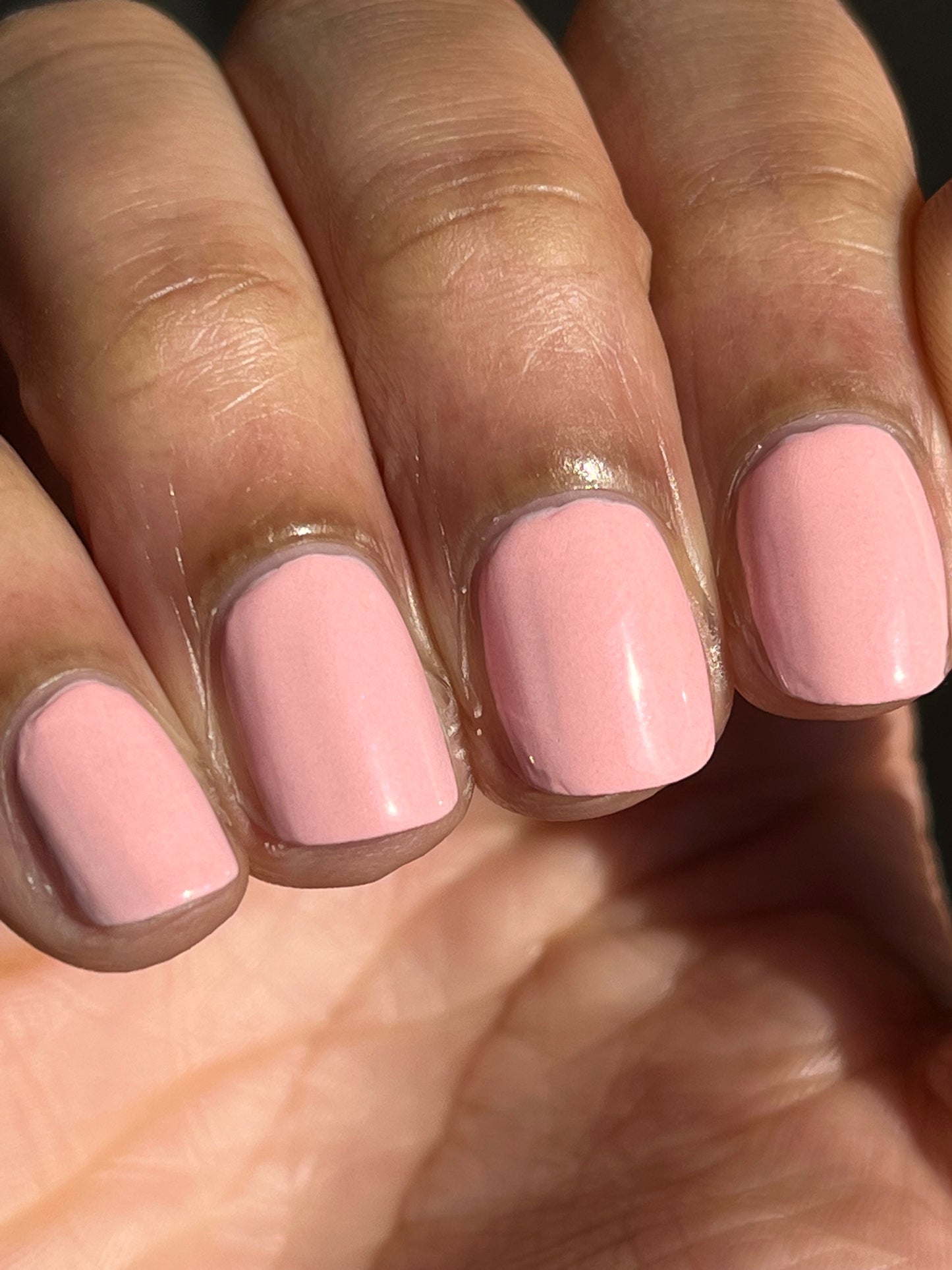 Azalea Aspirations