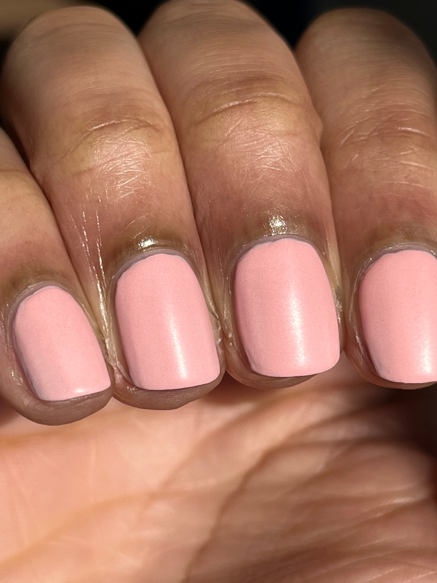 Azalea Aspirations