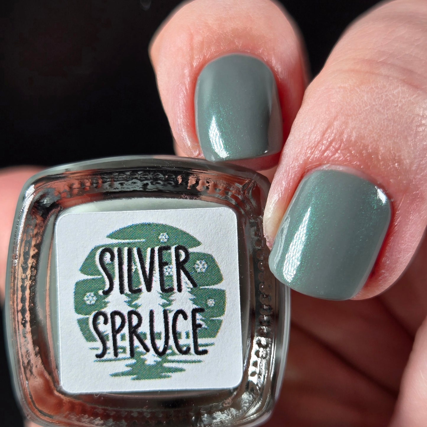 Silver Spruce