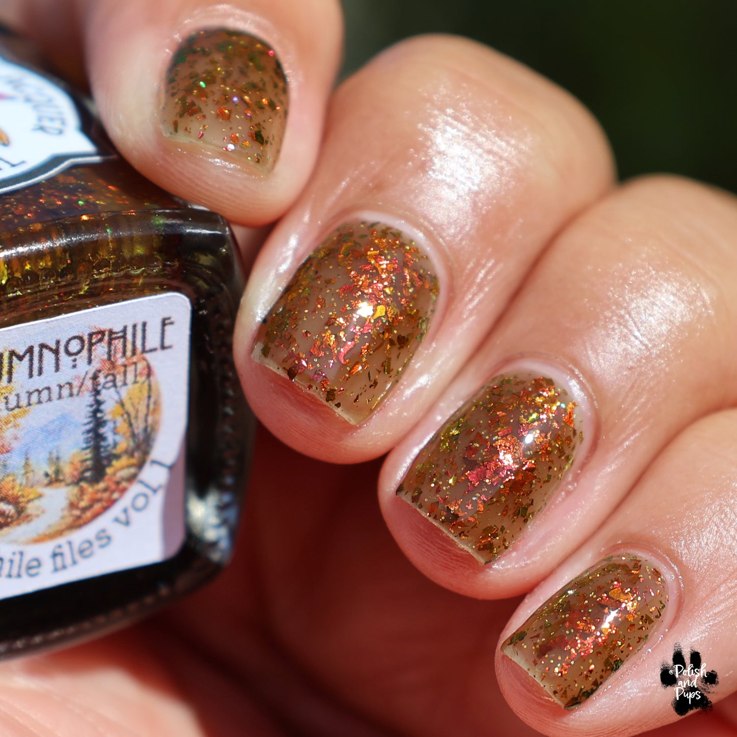 Autumnophile