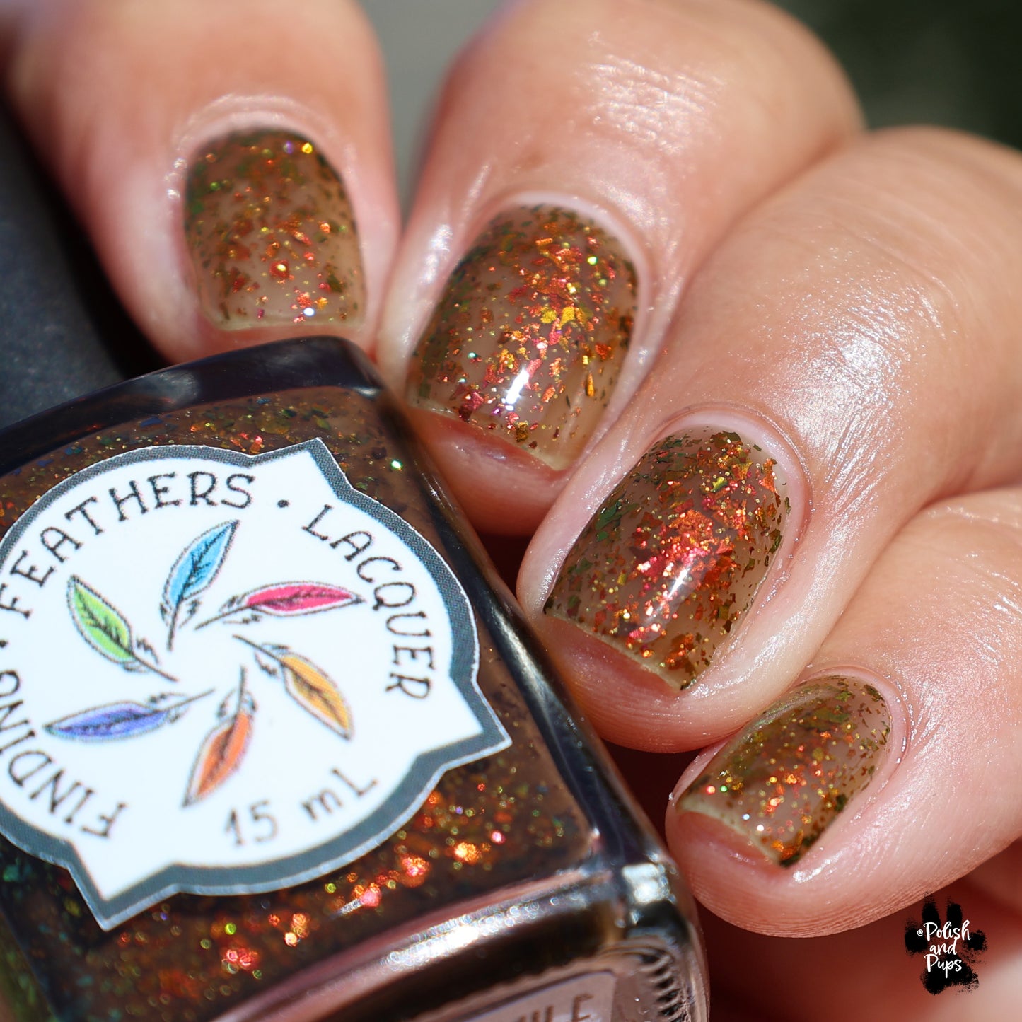 Autumnophile