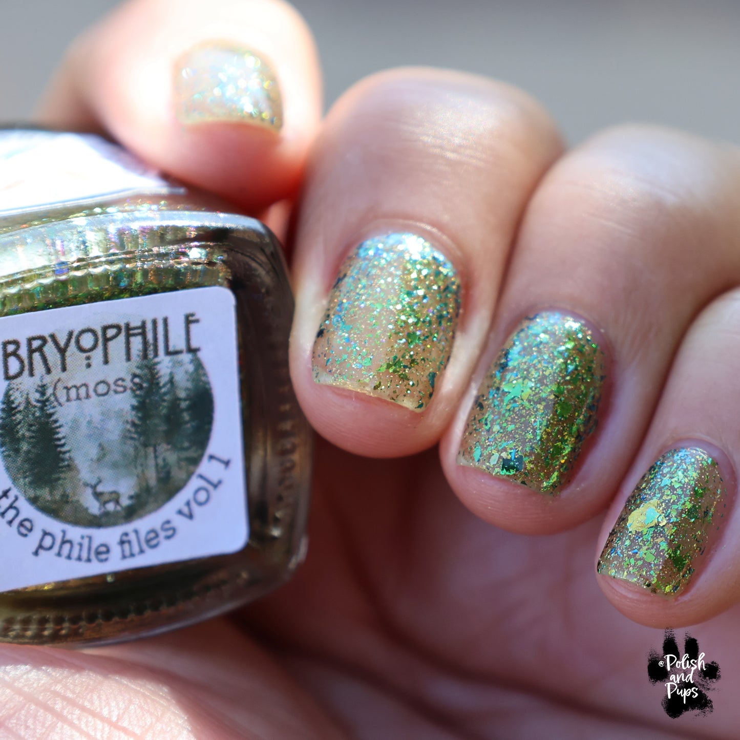 Bryophile