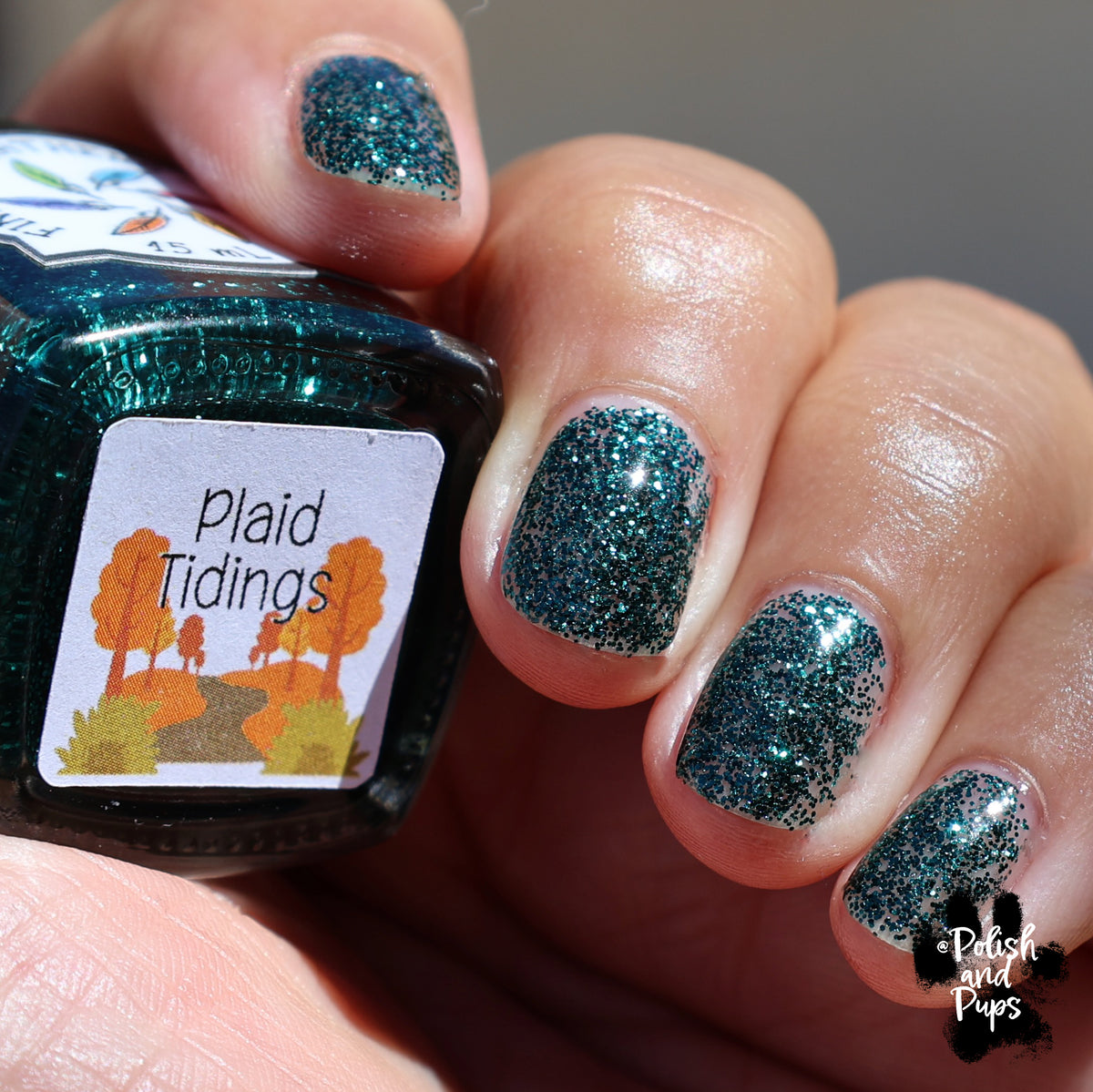 Plaid Tidings