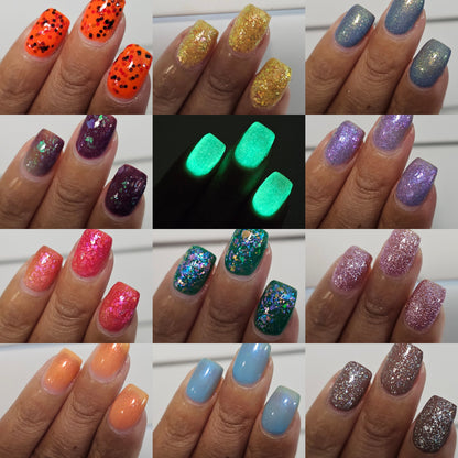Full Chrysalis Collection