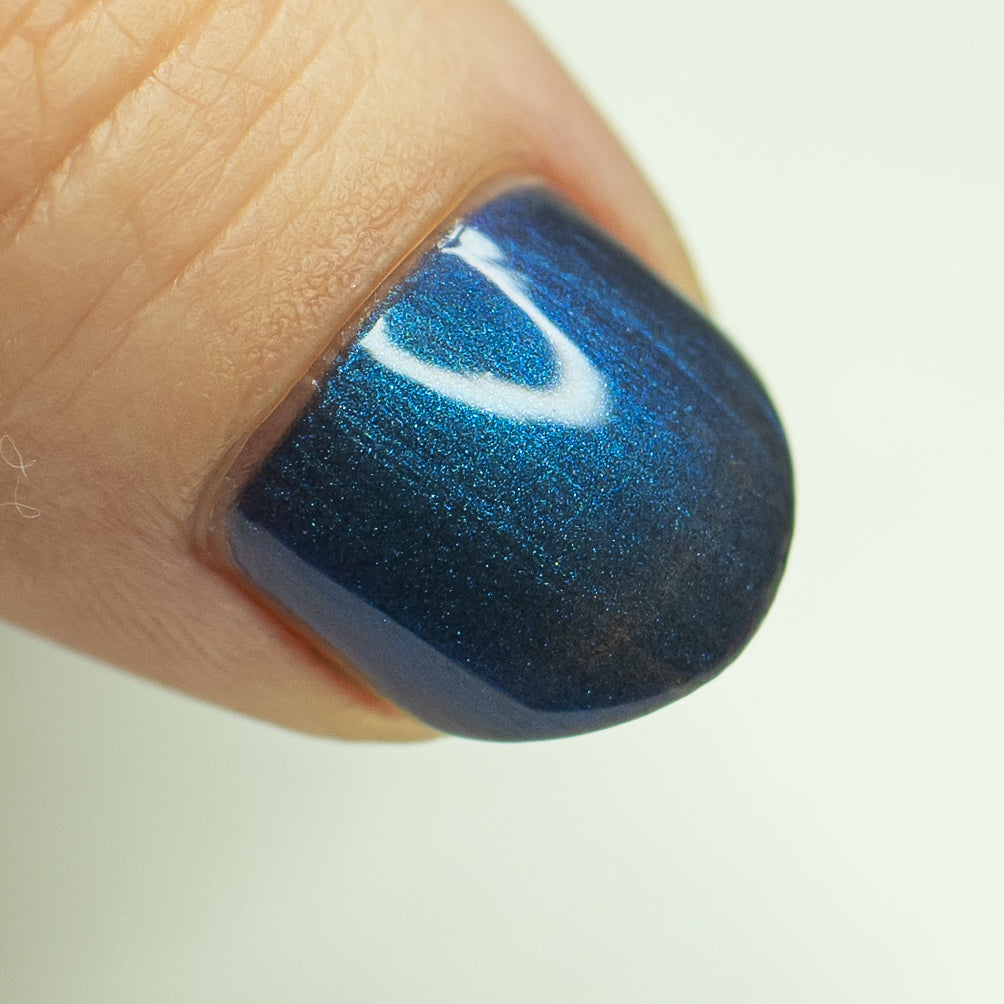 Solidarity Friends *CHARITY*