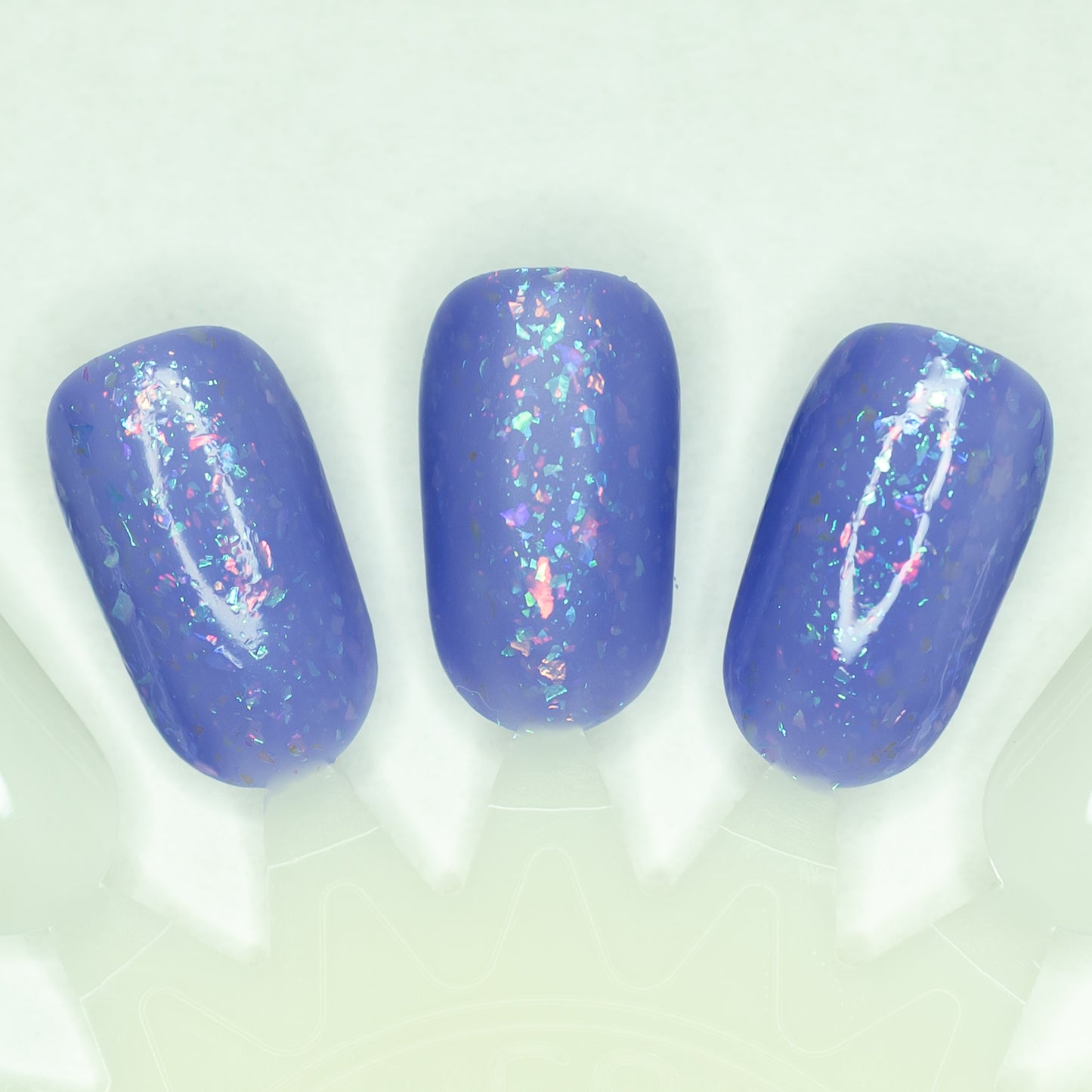 Flock Together *CHARITY*