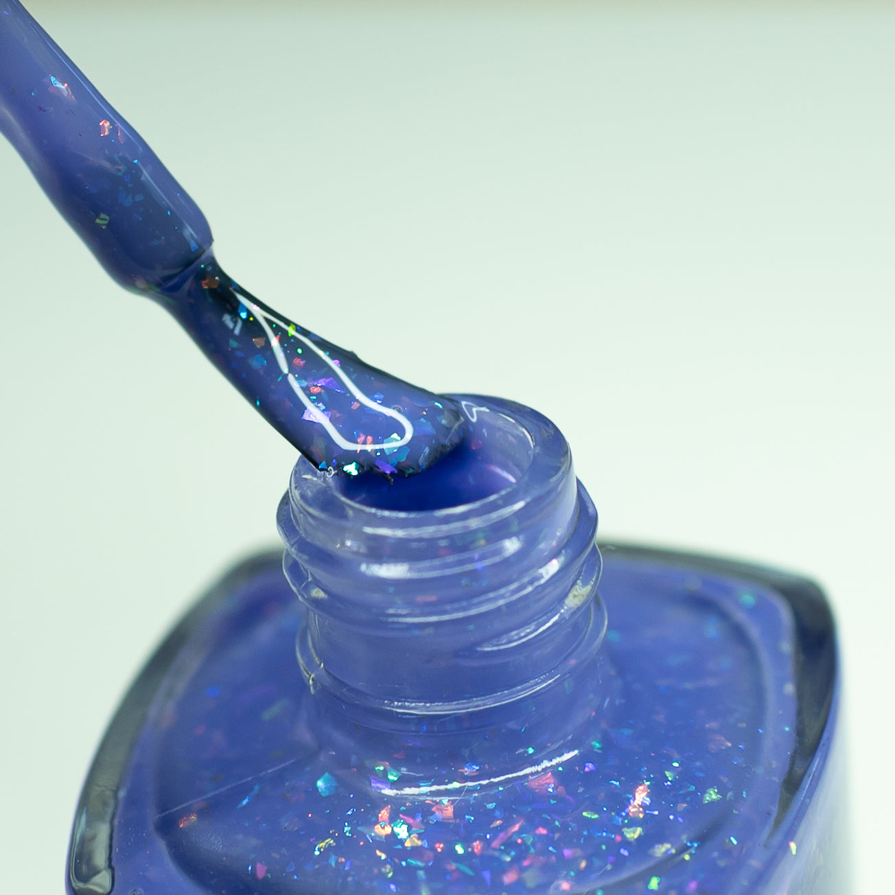 Flock Together *CHARITY*