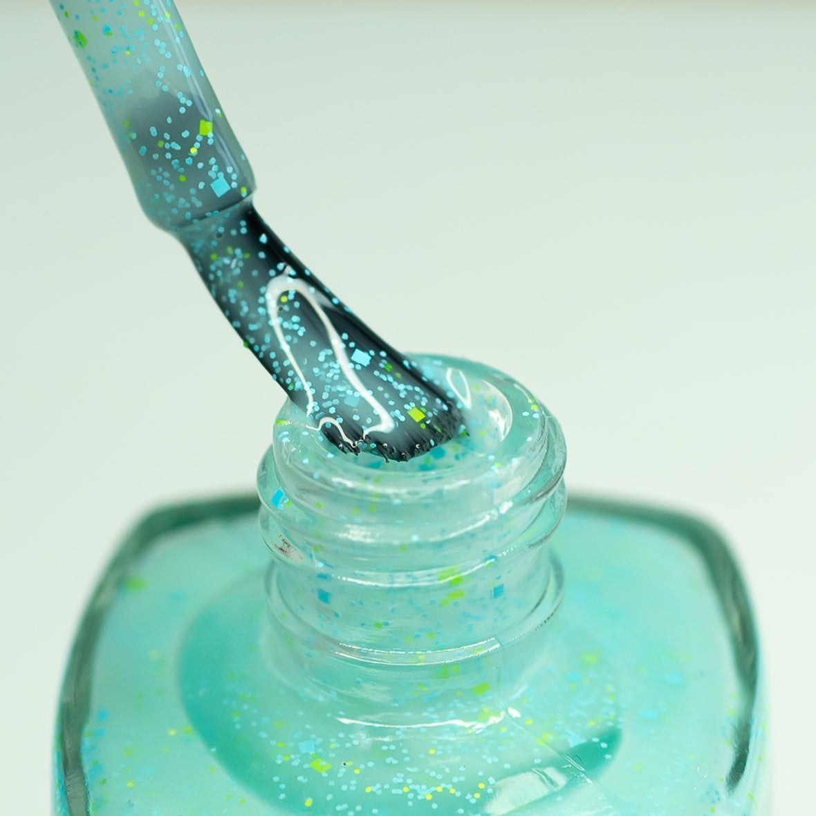 Reduce, Reuse, Resist *CHARITY*