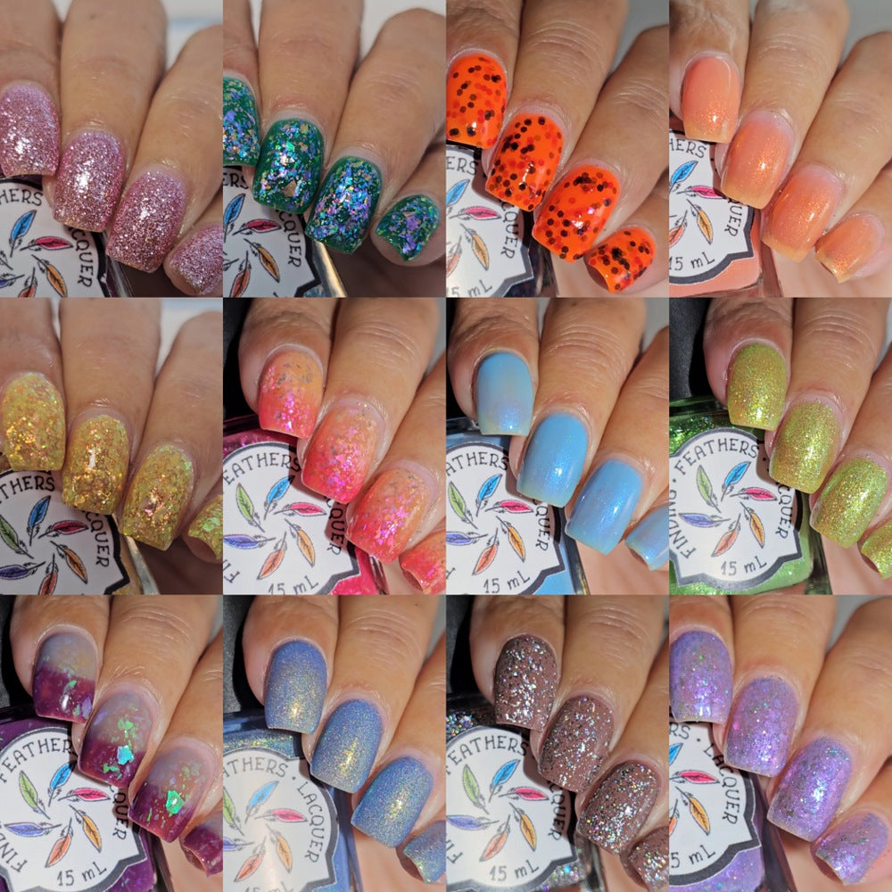Full Chrysalis Collection