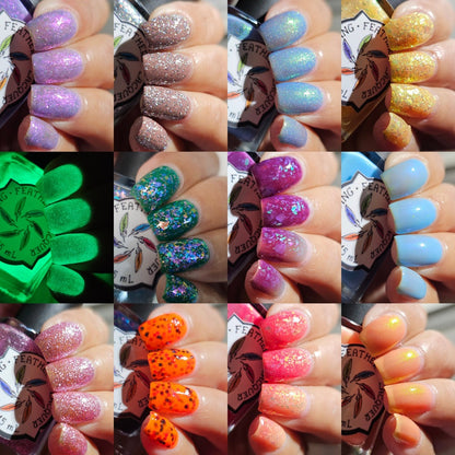 Full Chrysalis Collection