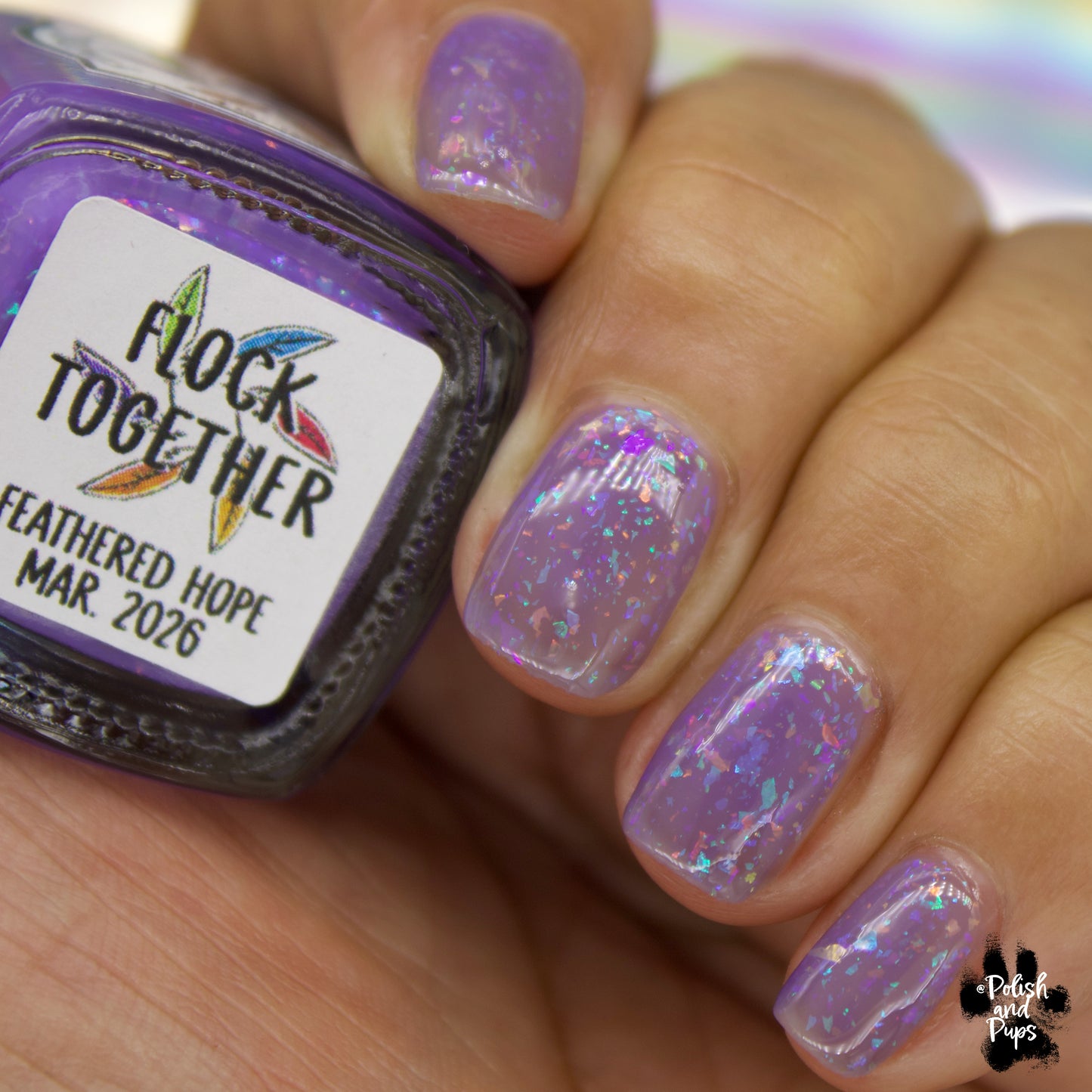 Flock Together *CHARITY*