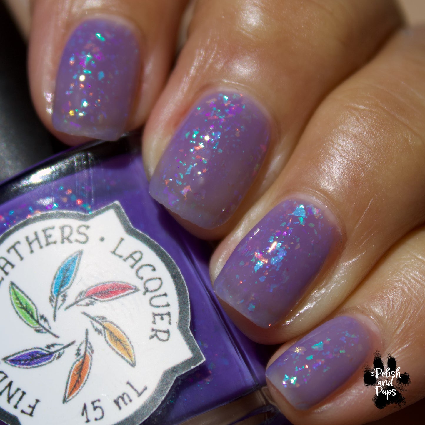 Flock Together *CHARITY*