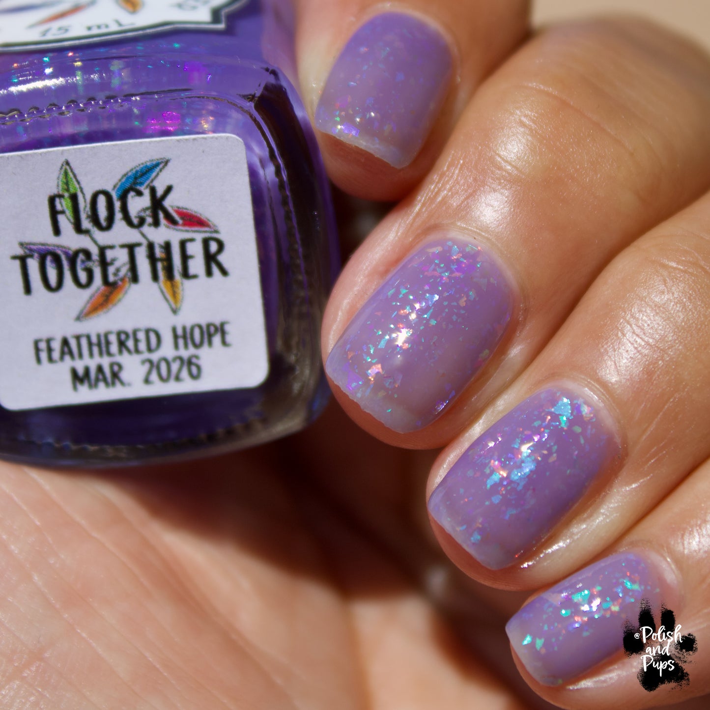 Flock Together *CHARITY*