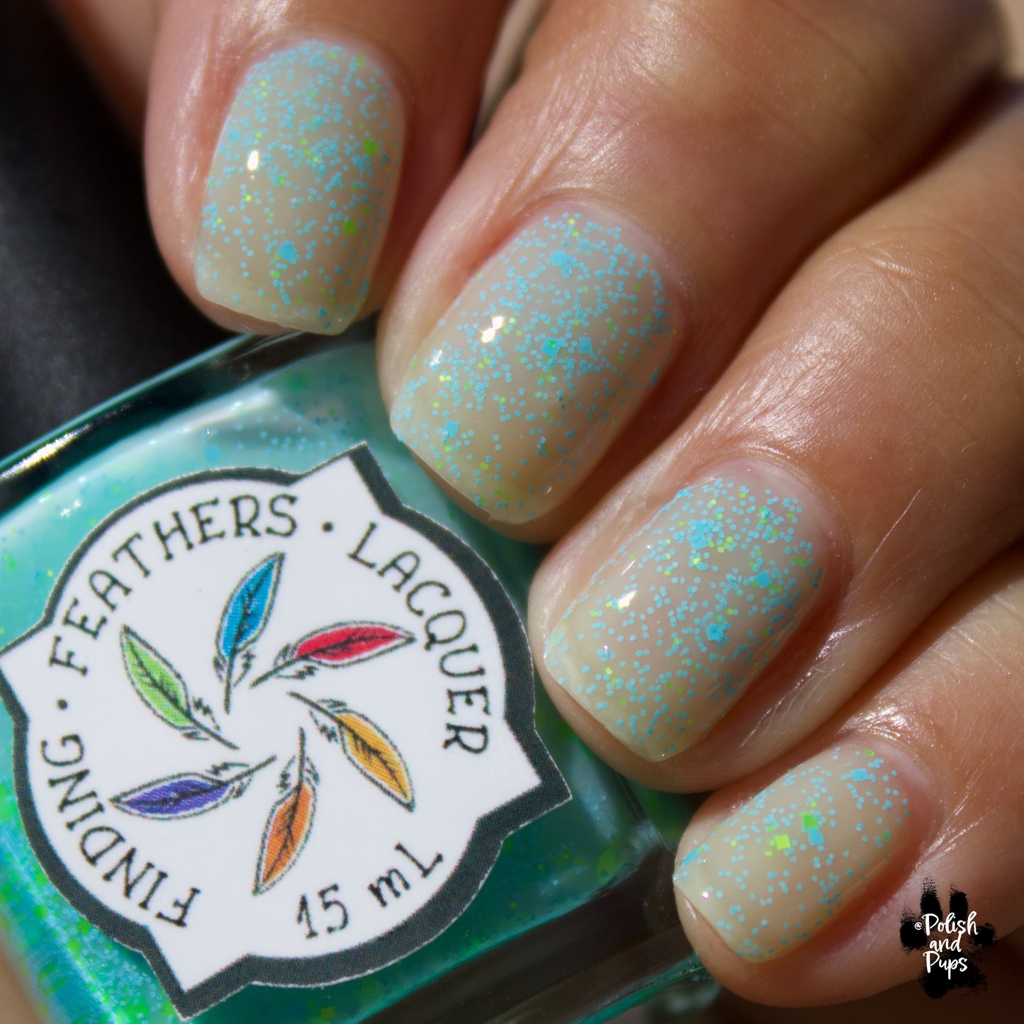 Reduce, Reuse, Resist *CHARITY*