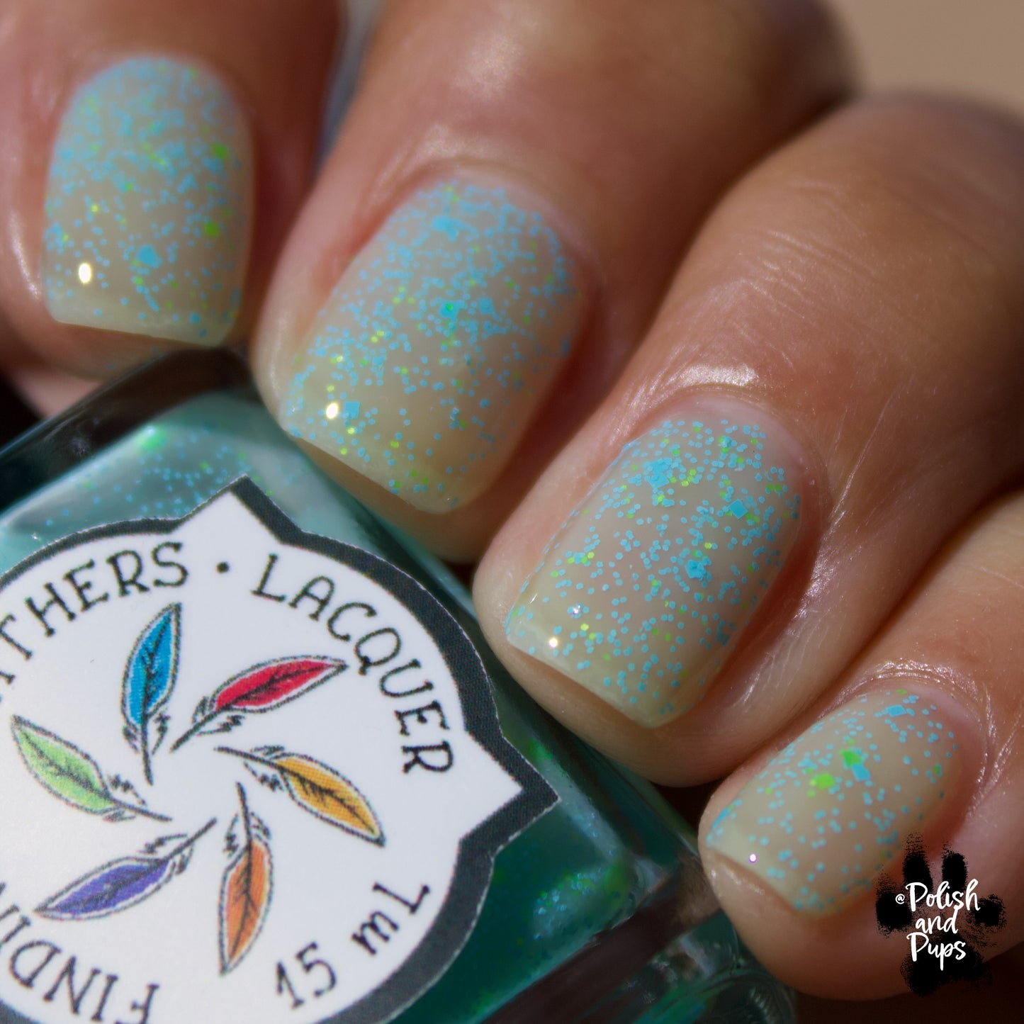 Reduce, Reuse, Resist *CHARITY*