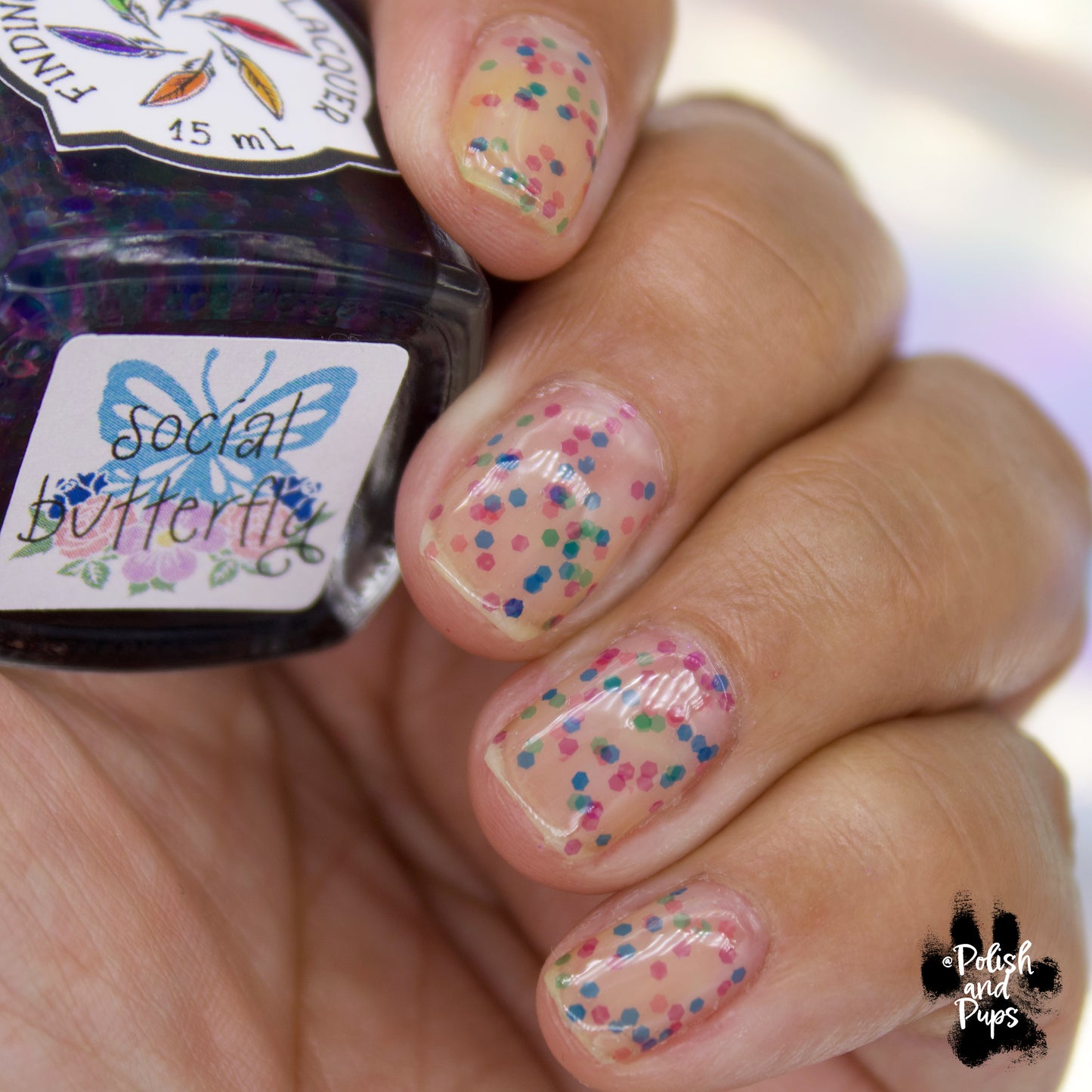 Social Butterfly